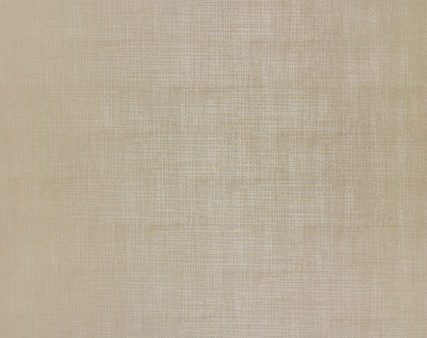 Silkor Ivory_01