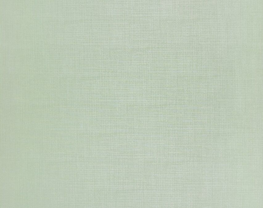 Silkor Mint_19