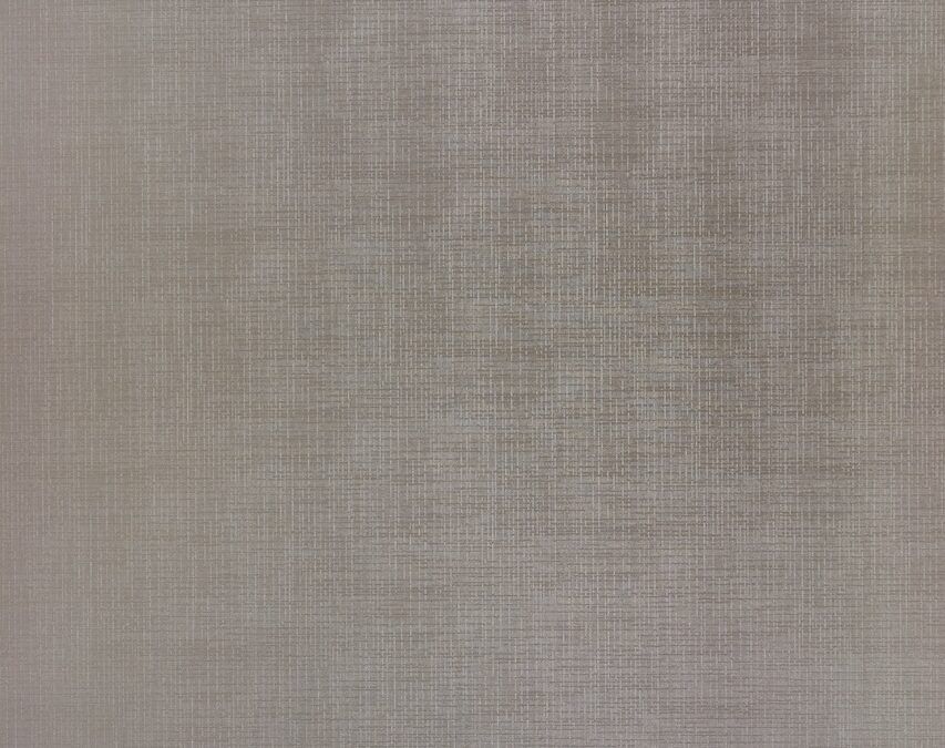 Silkor Mushroom_03