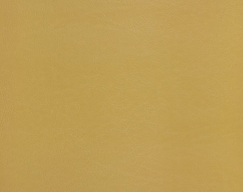 Sterling Gold_15
