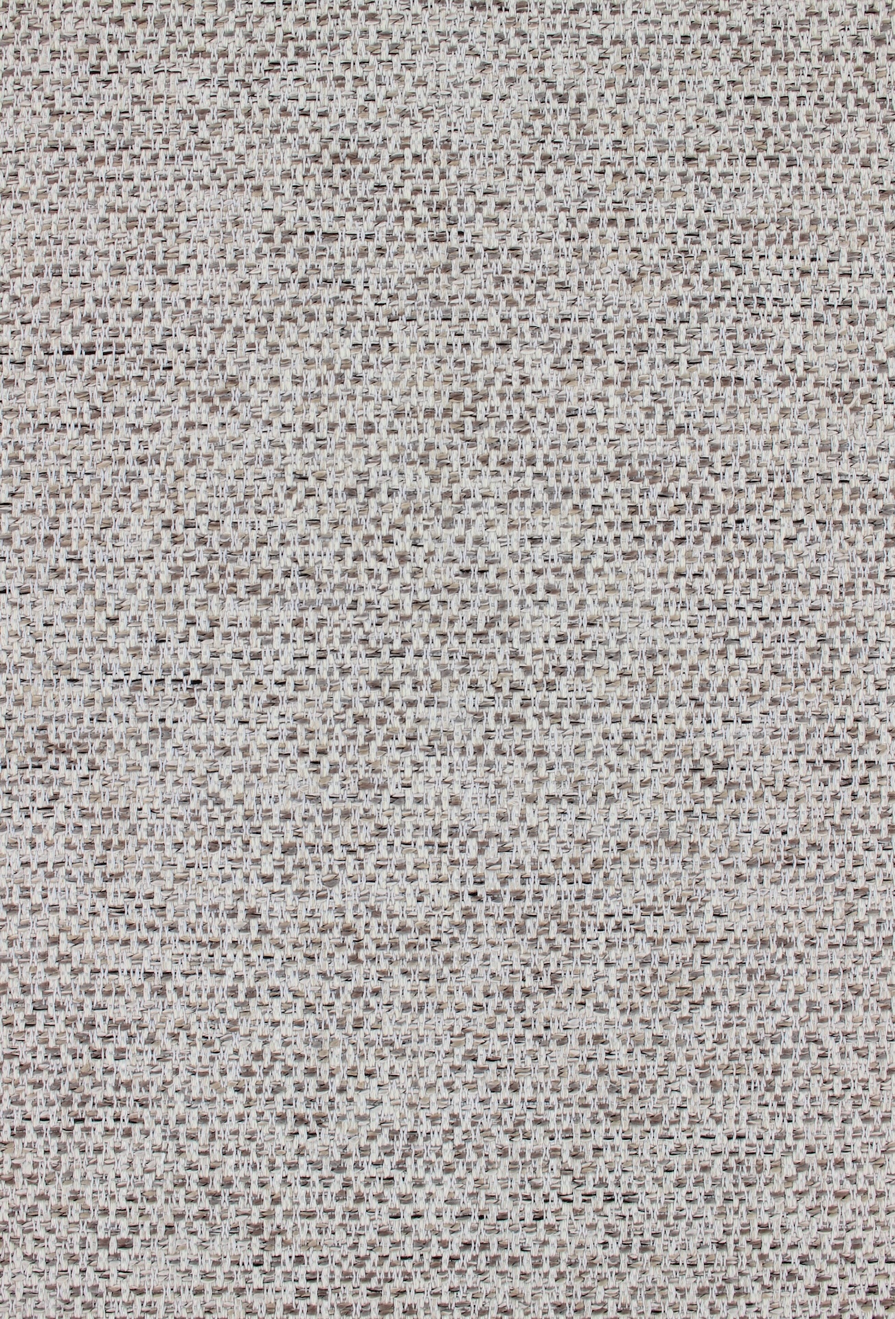 David221almond