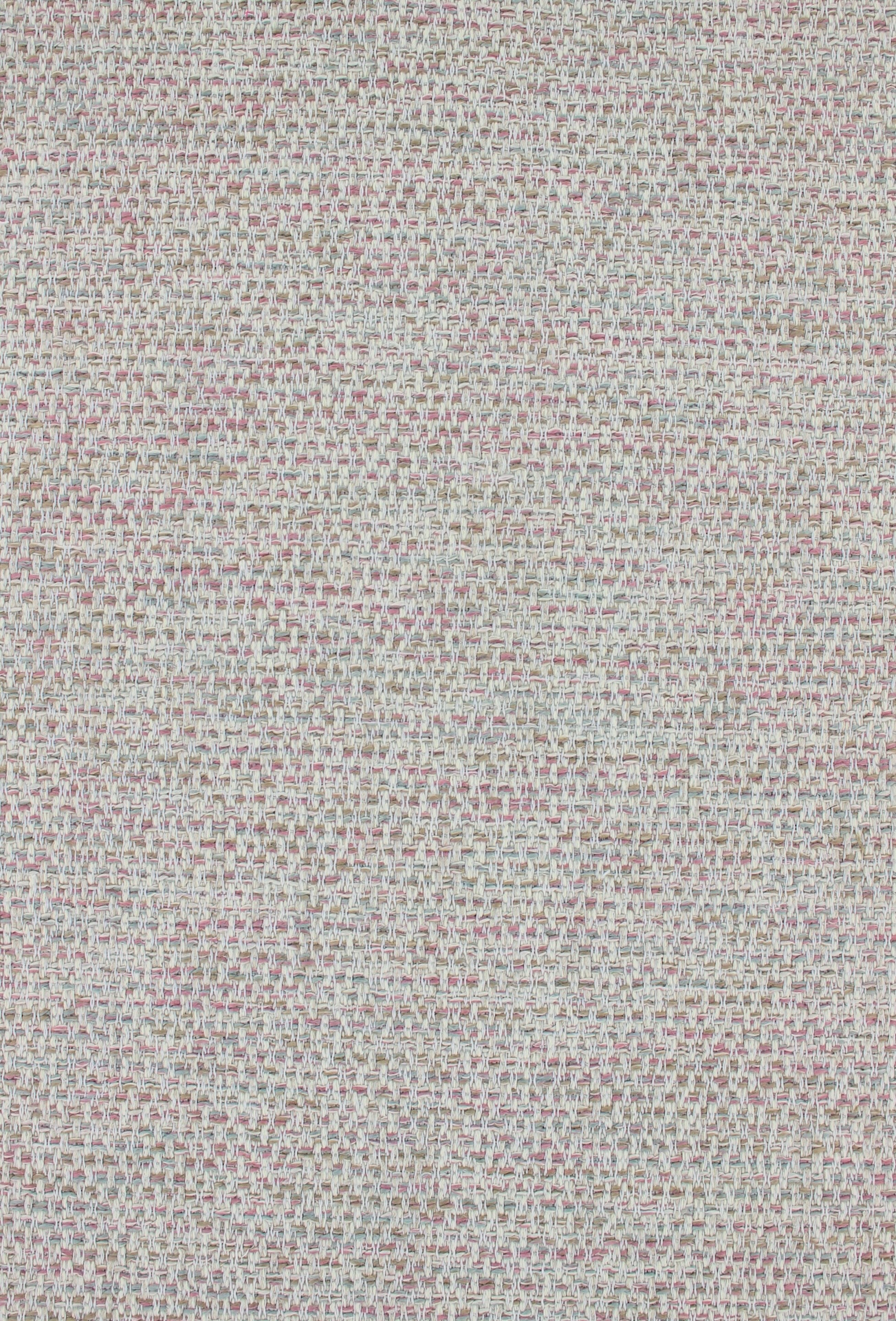 David535blush