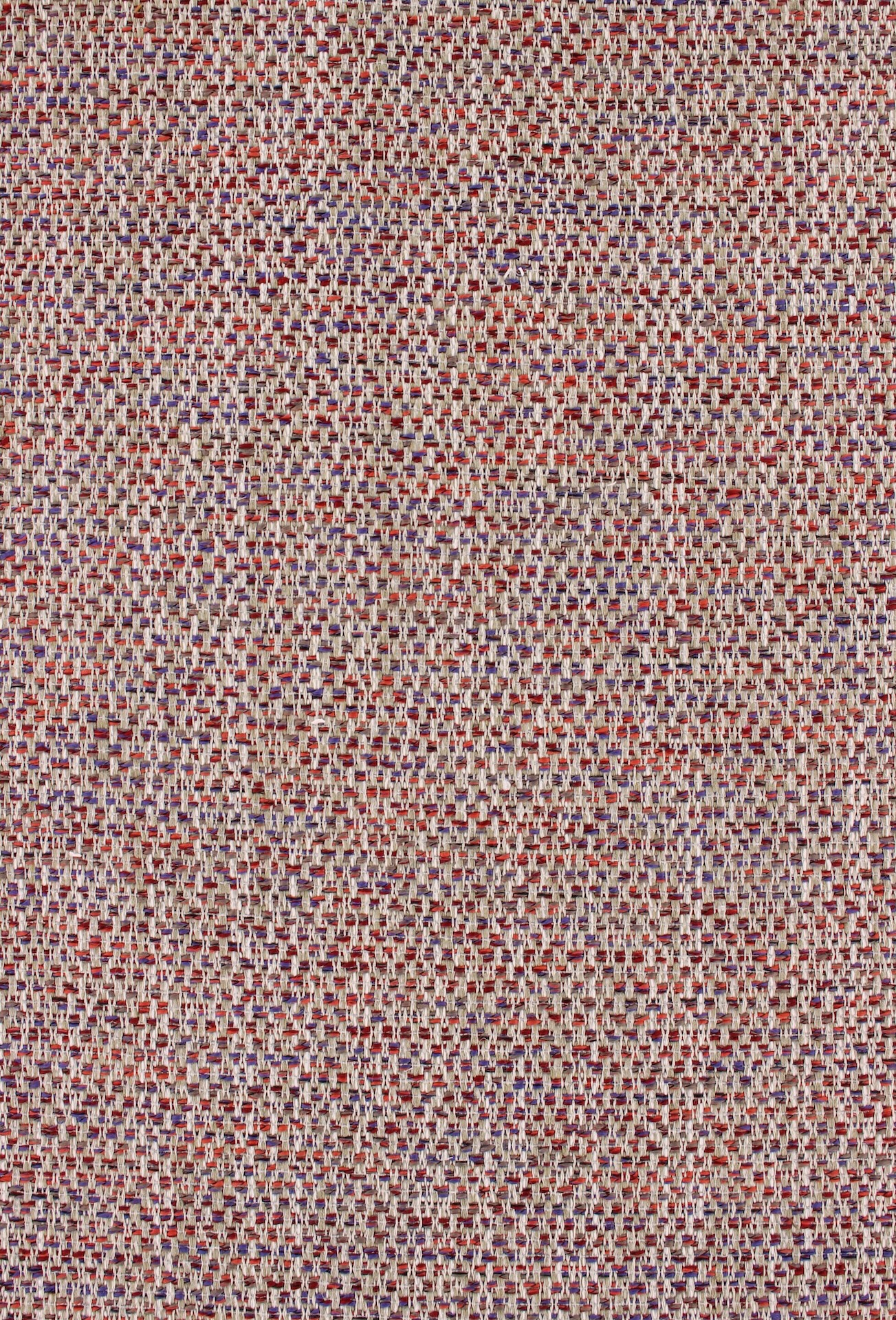 David550raspberry