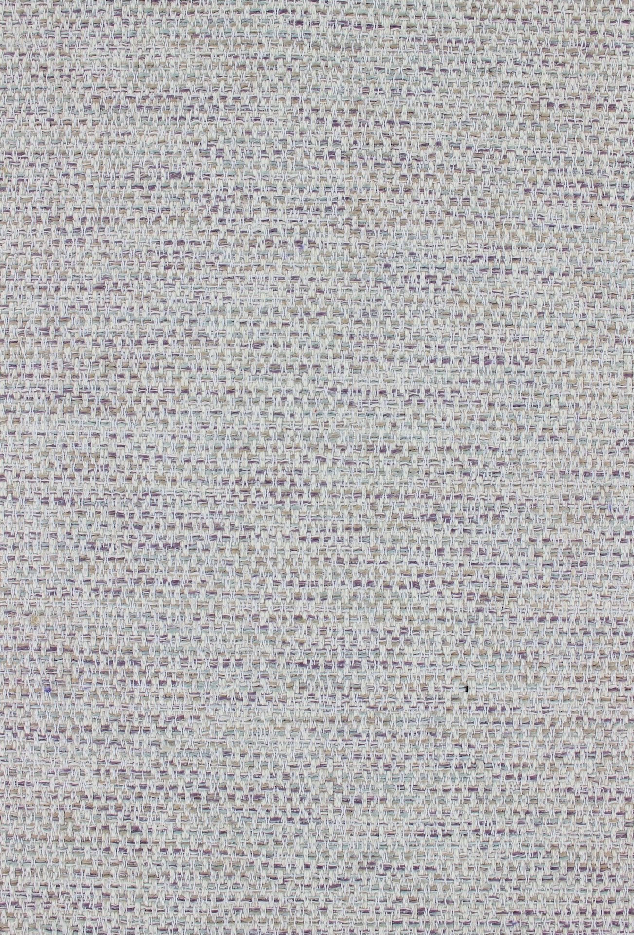 David565lavender
