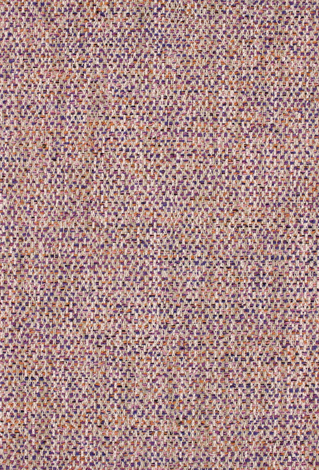 David585violet