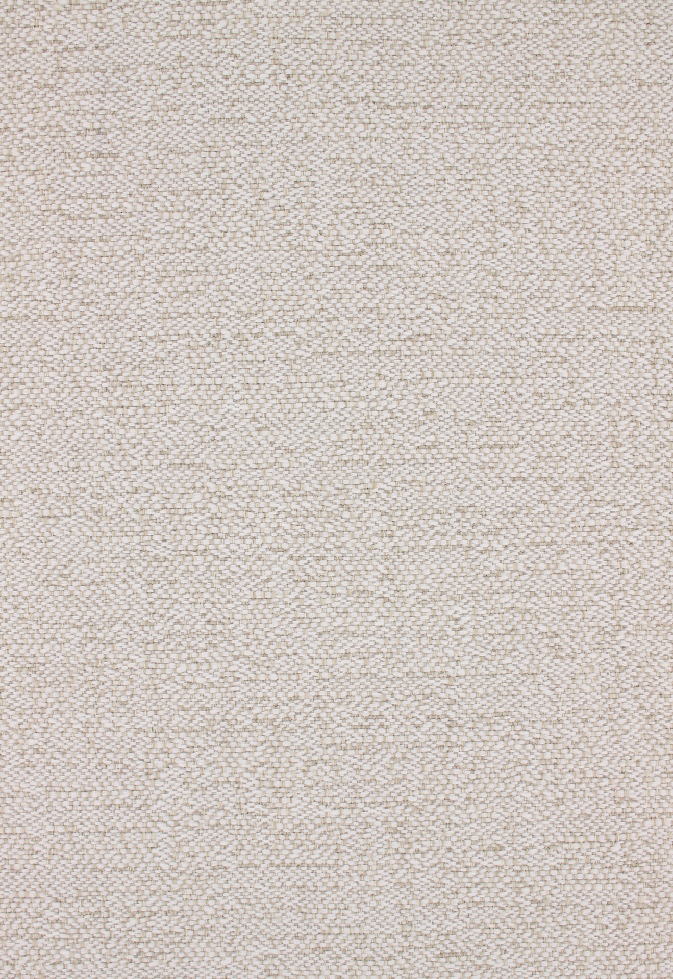 Denmoza72dpi100white