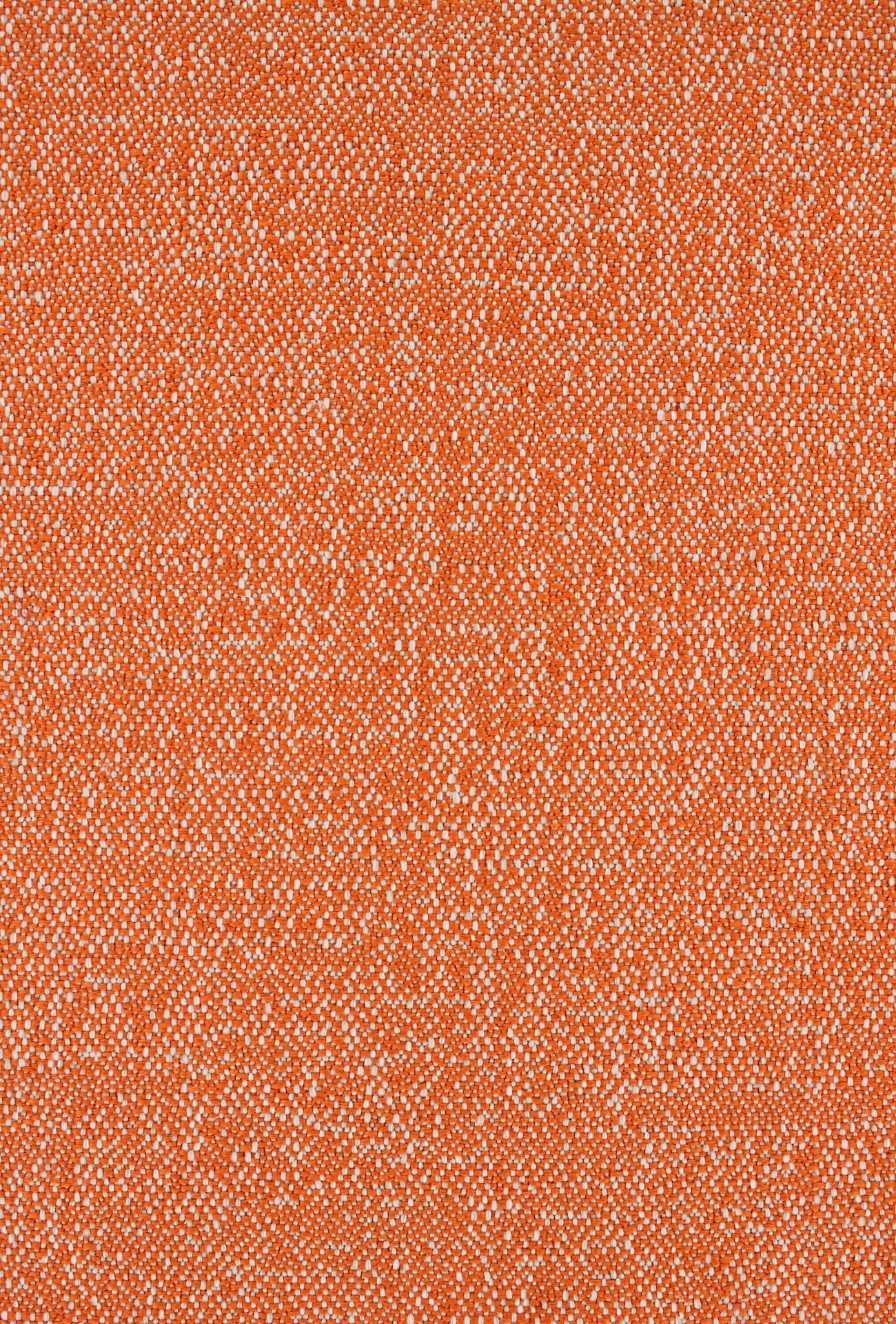 Denmoza72dpi380tangerine