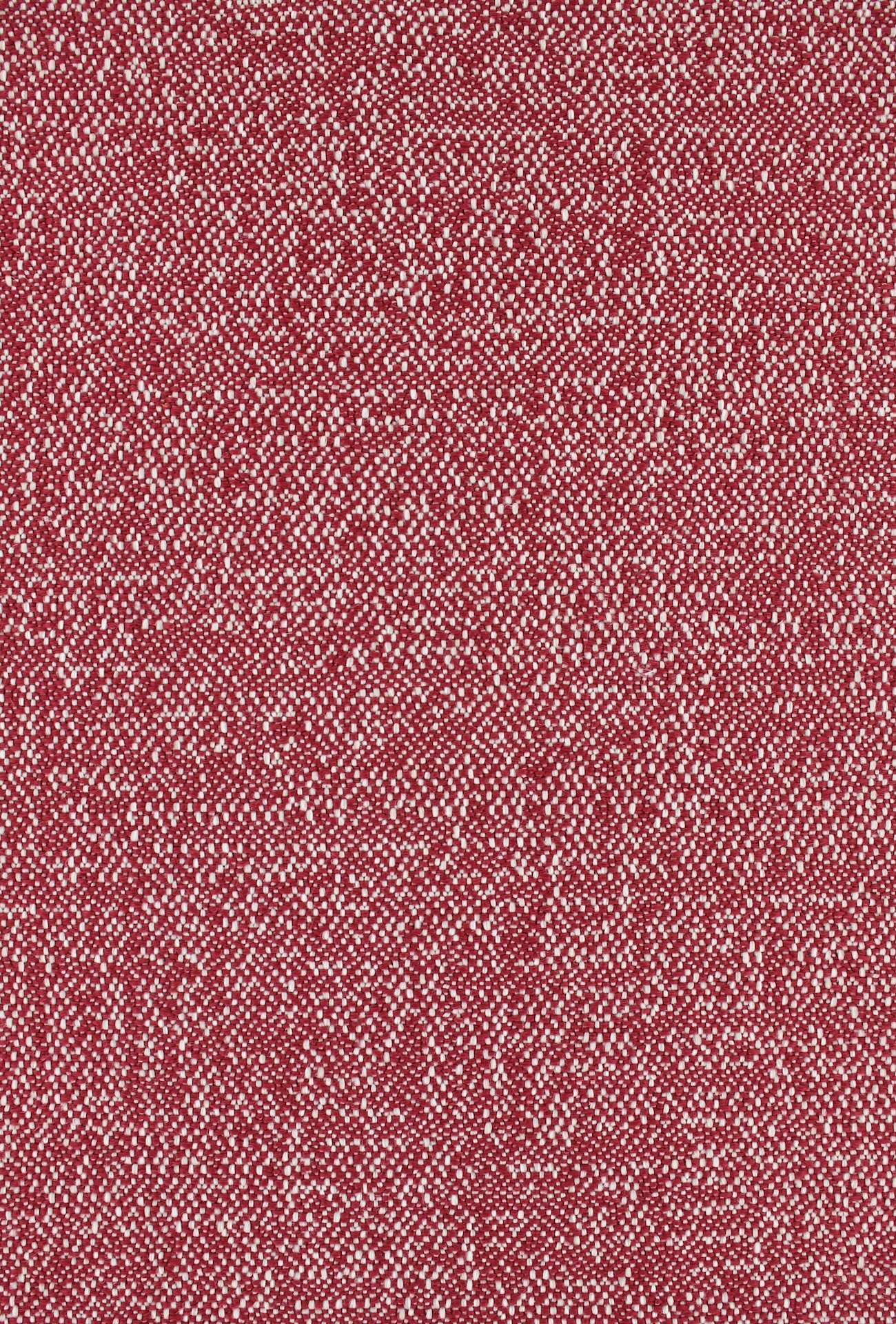 Denmoza72dpi540fuchia