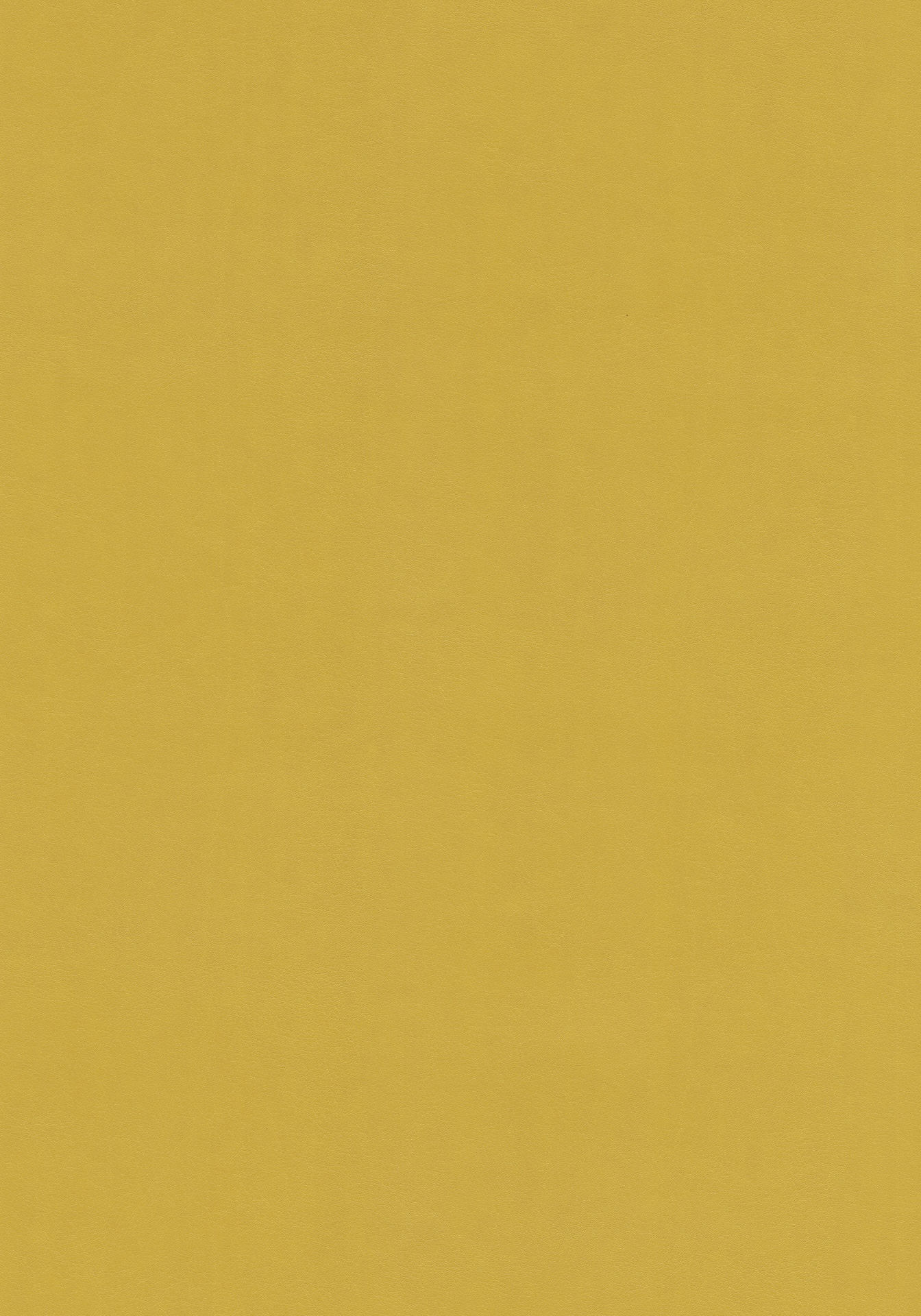 Fine_310_Buttercup