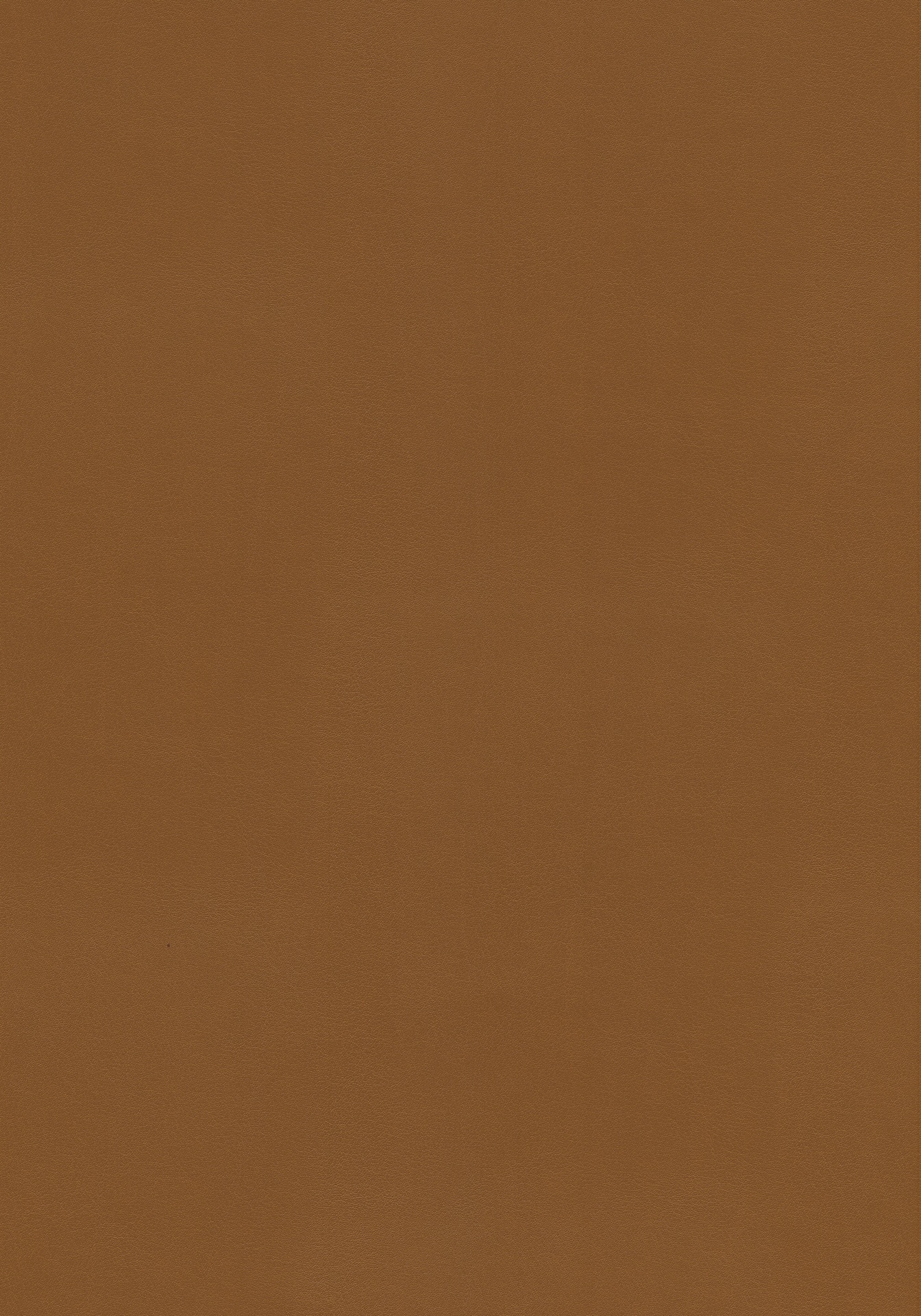 Fine_360_Amber