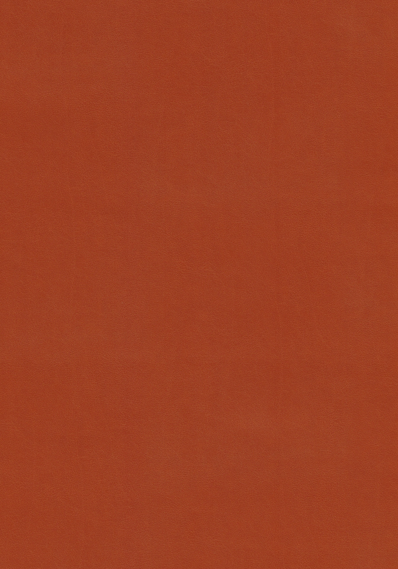 Fine_370_Pumpkin