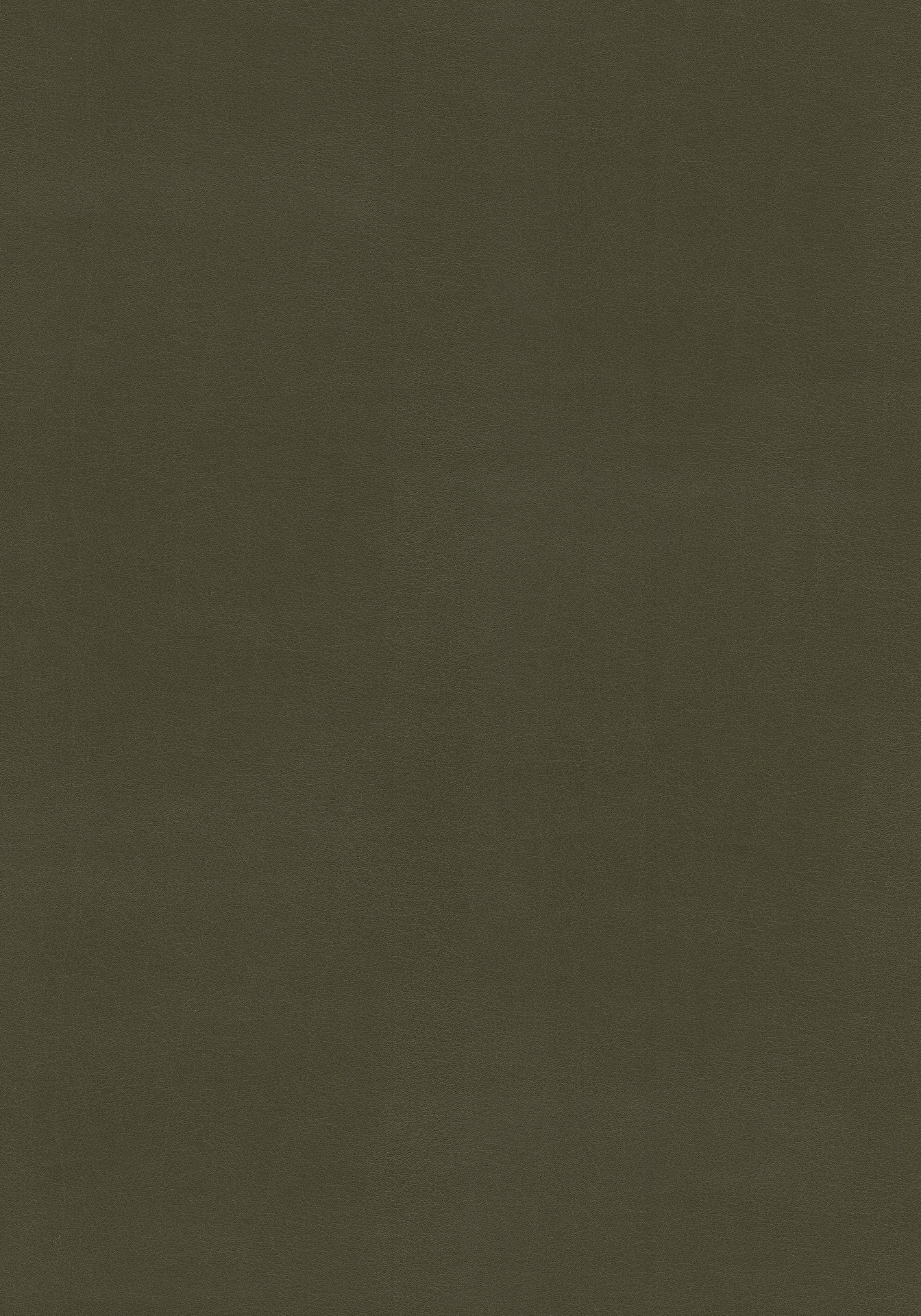 Fine_790_Forest