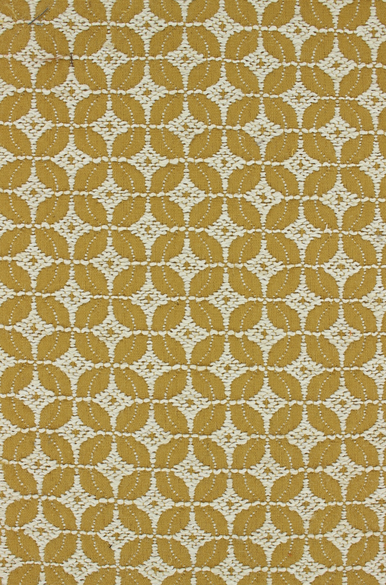 Golo72dpi340honey