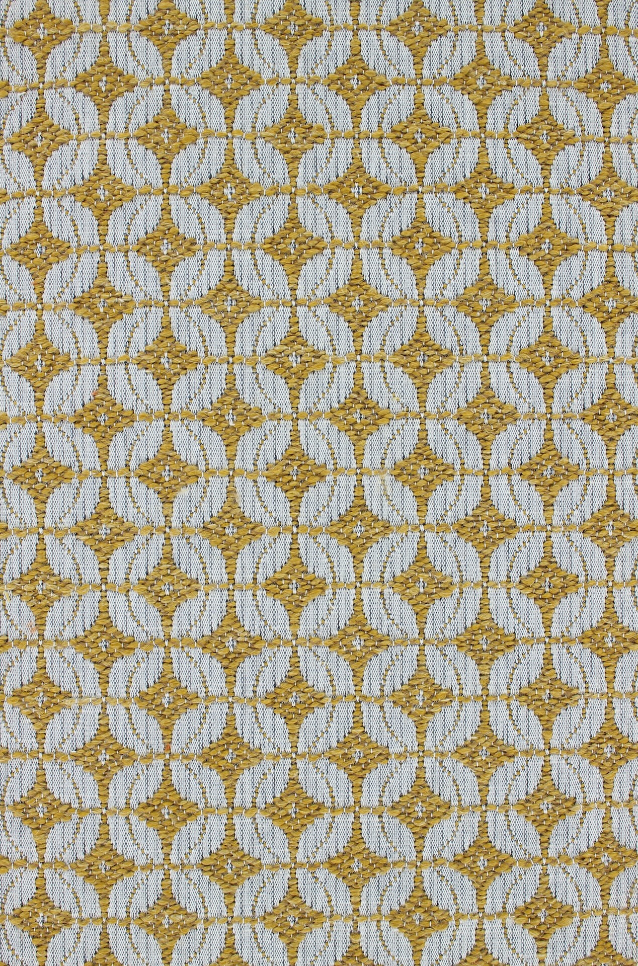 Golo72dpi345mustard