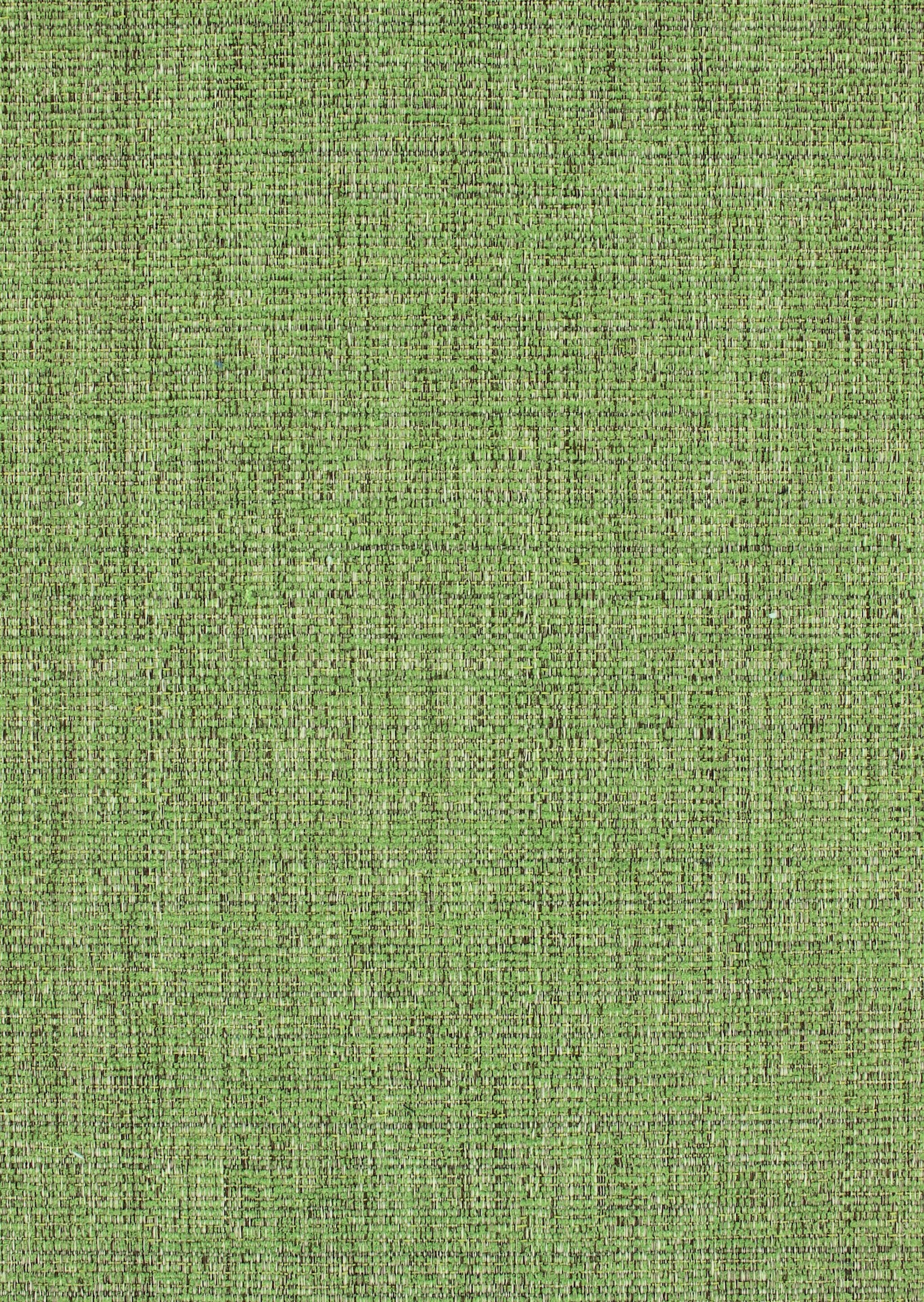Hulk72dpi770sweat-pea