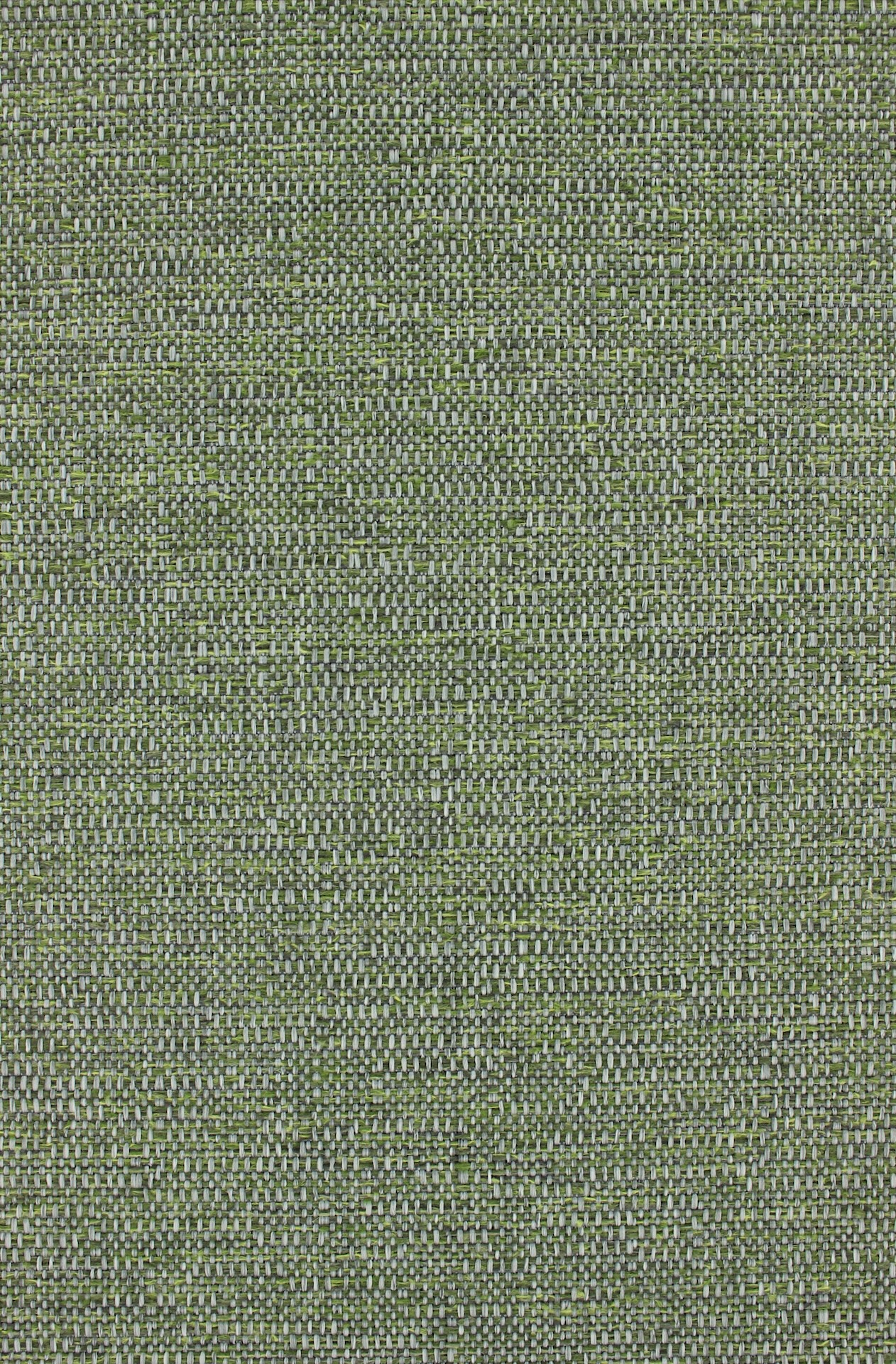 John765olive