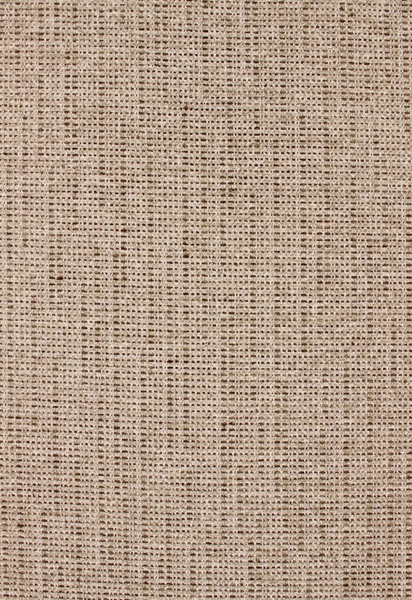 Leon72dpi221almond