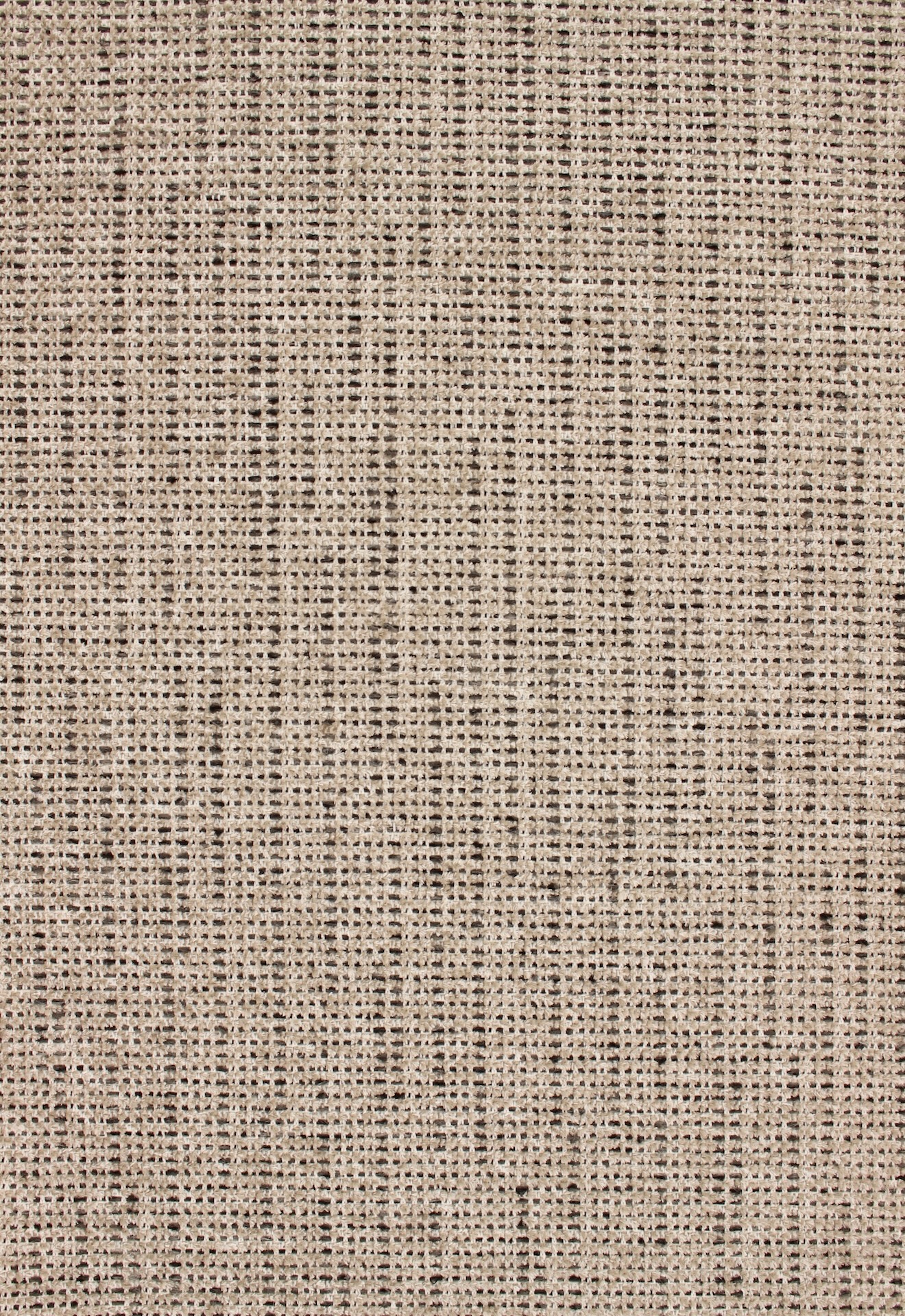 Leon72dpi223oatmeal