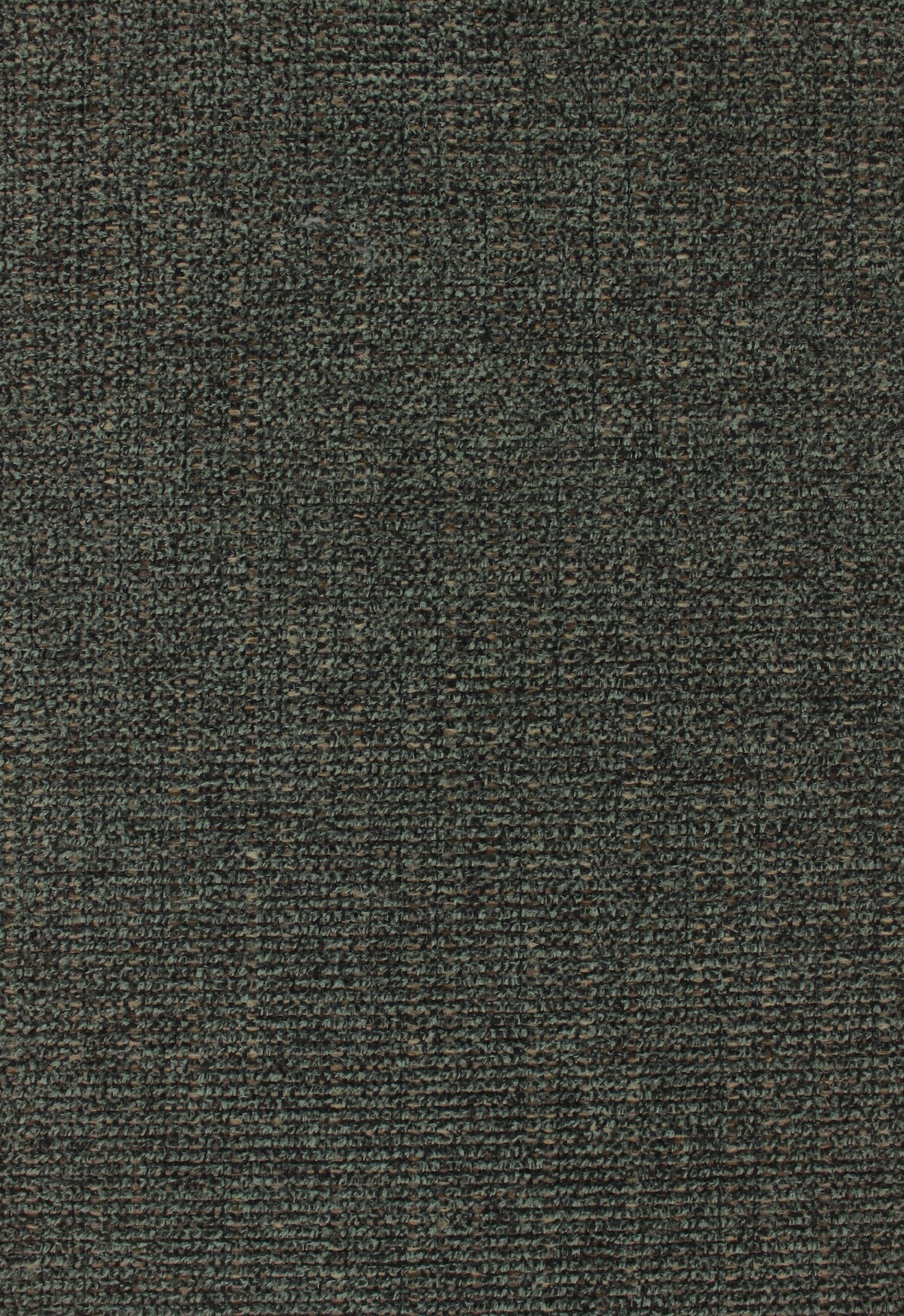 Leon72dpi271bark