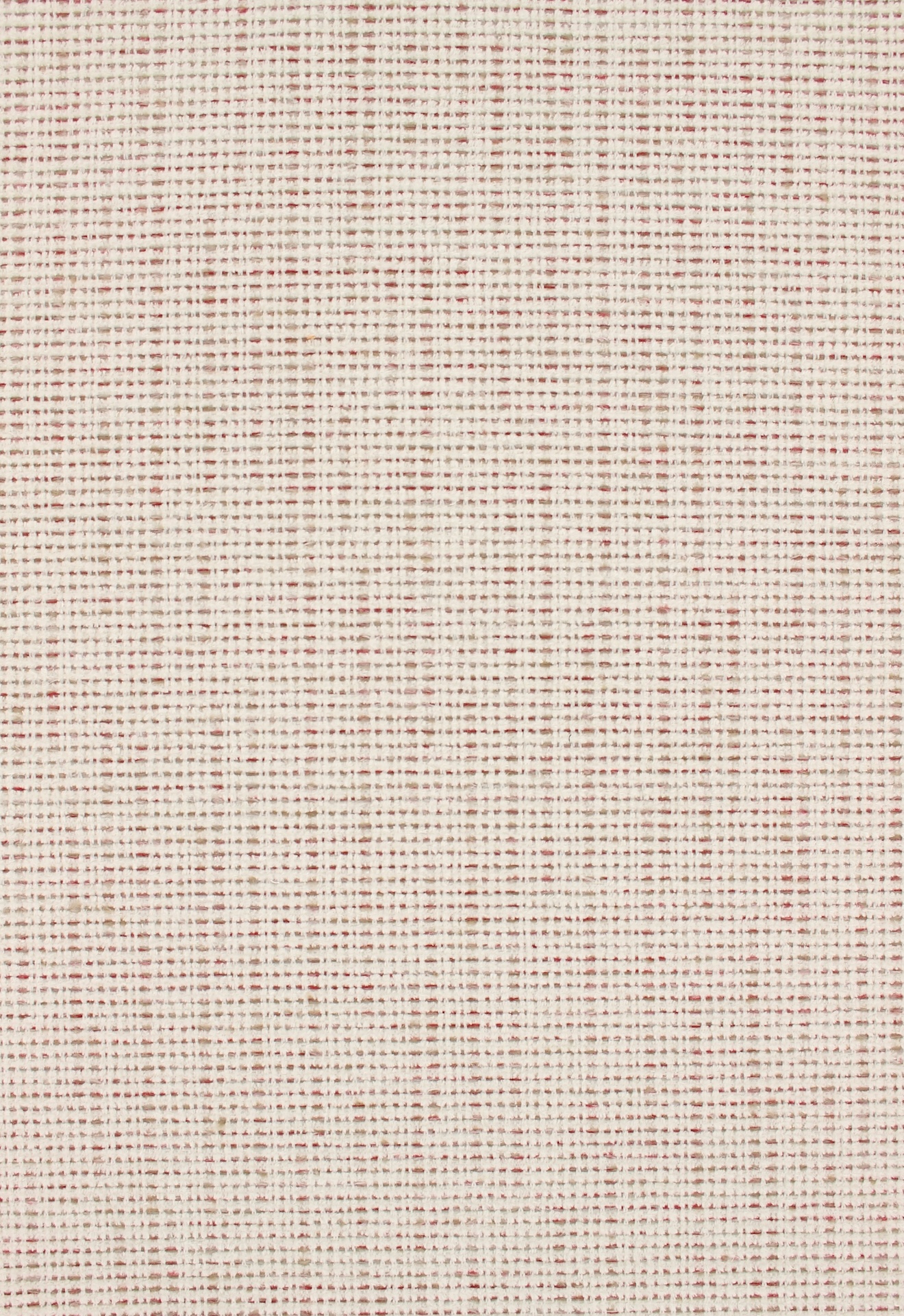 Leon72dpi550raspberry