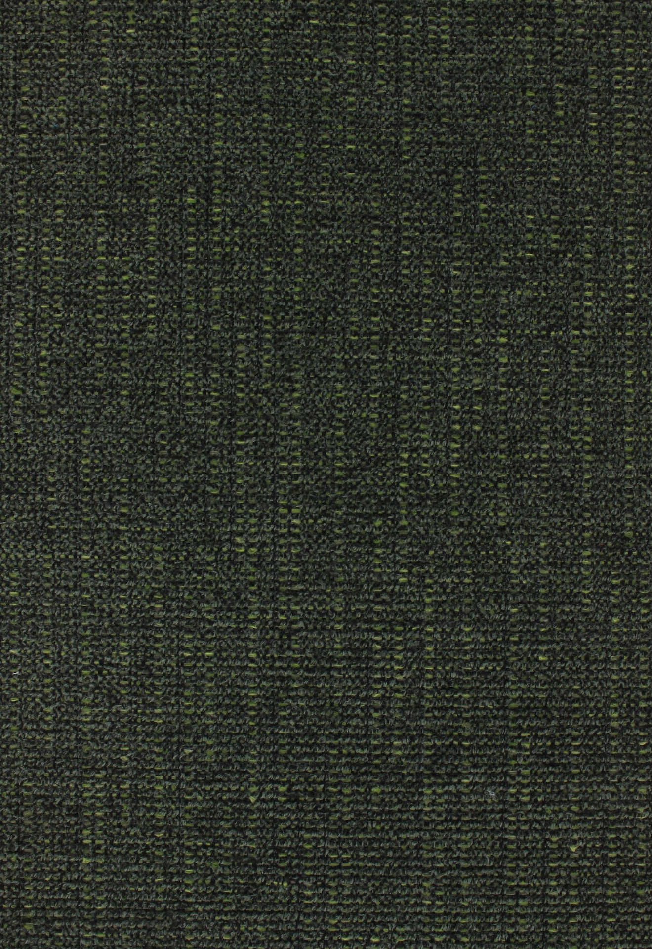 Leon72dpi781moss