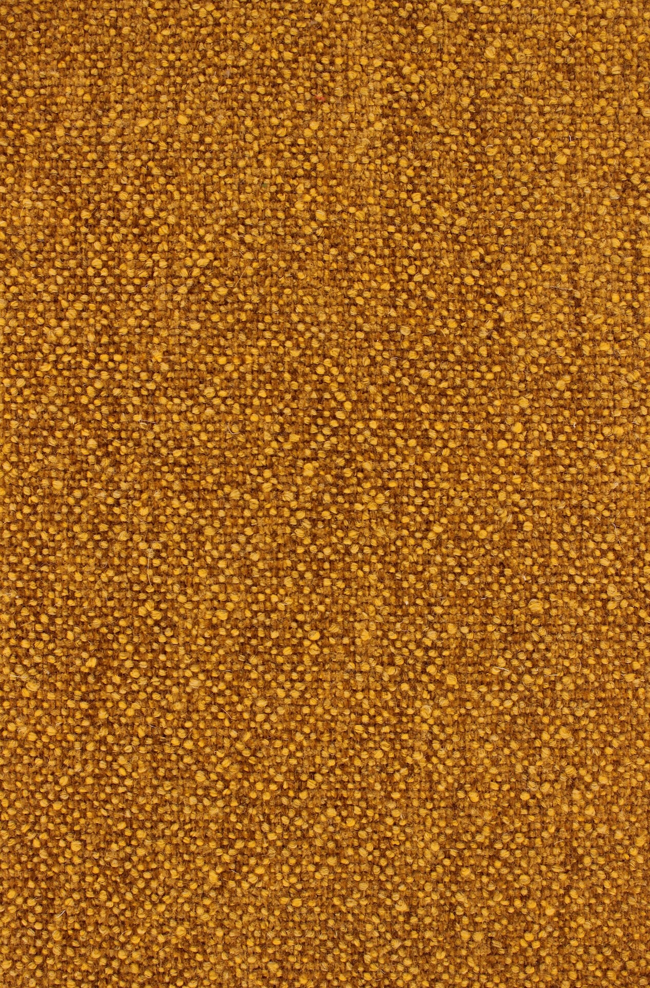 Nebula72dpi340honey