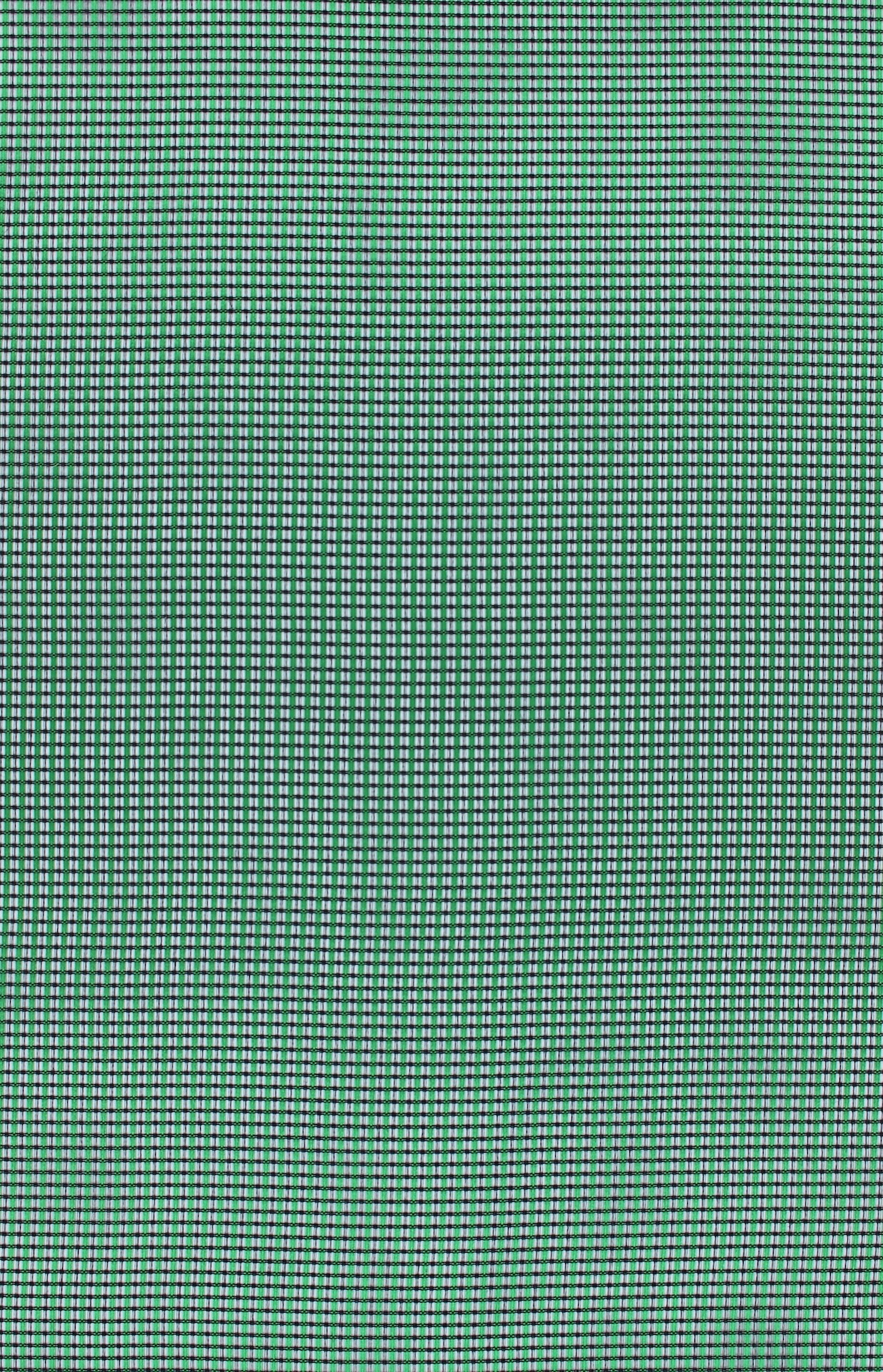 Sara72dpi725granny-smith