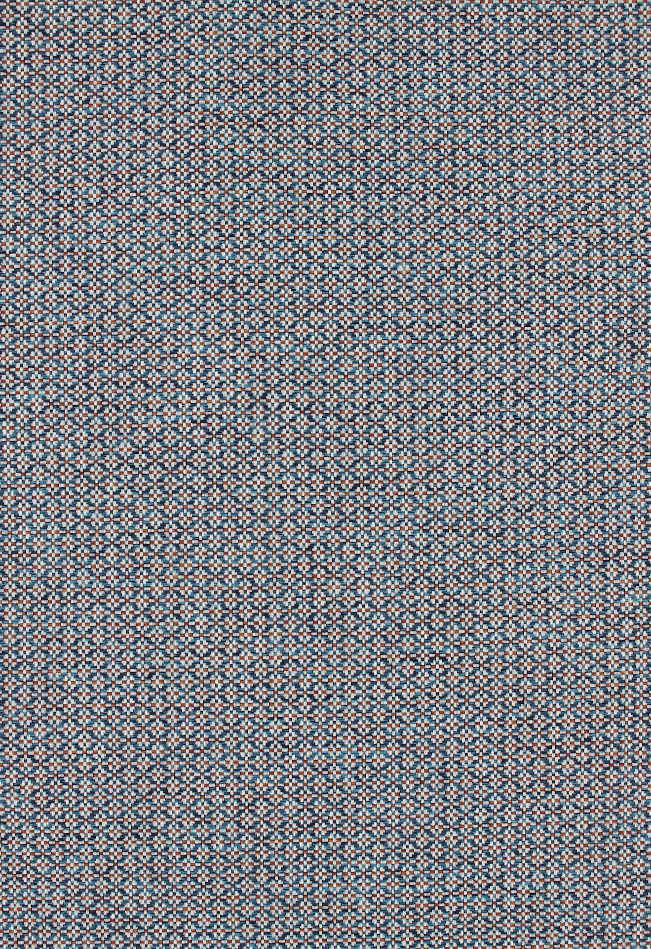 Yavia72dpi710peacock