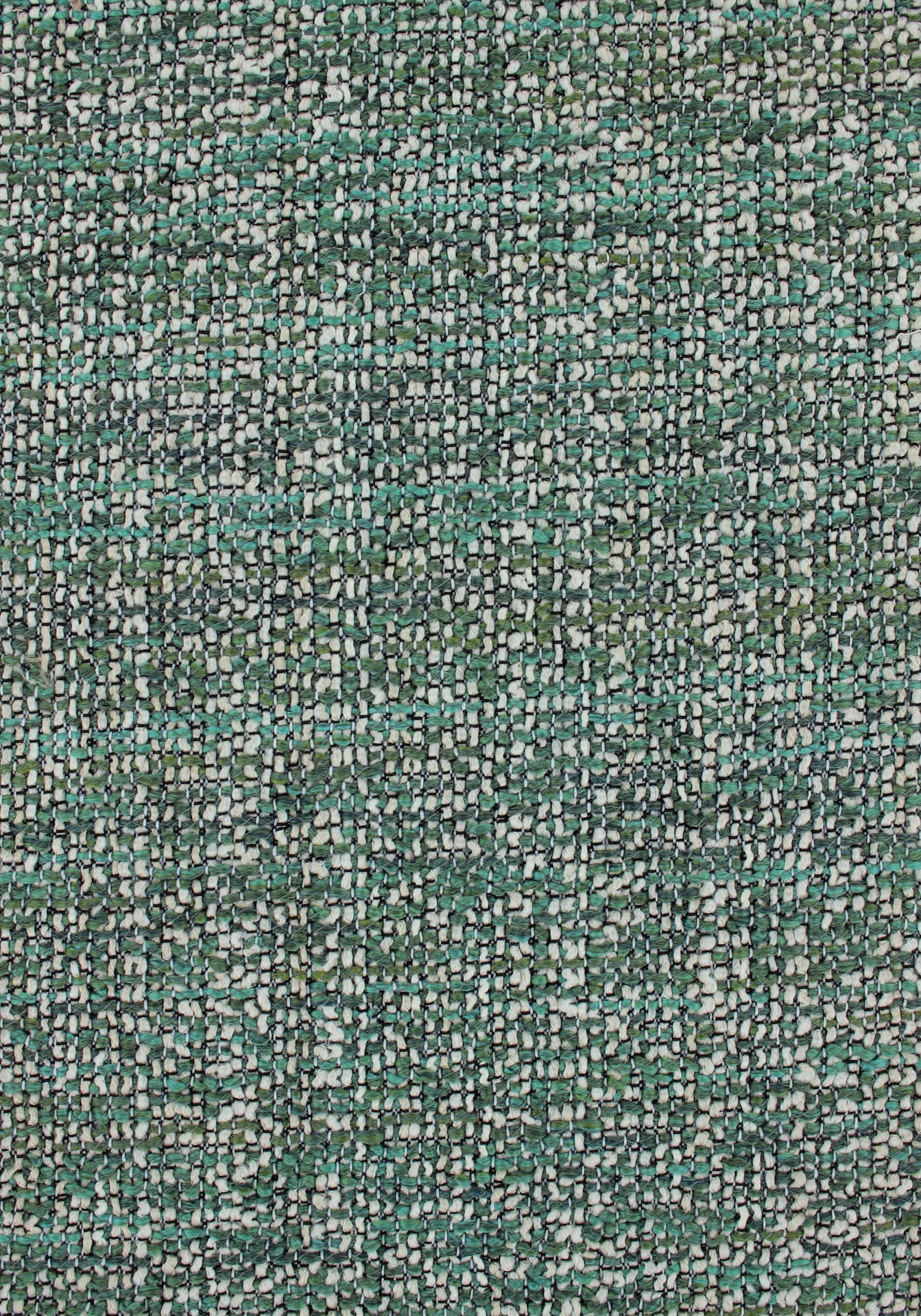 brutus72dpi790forest