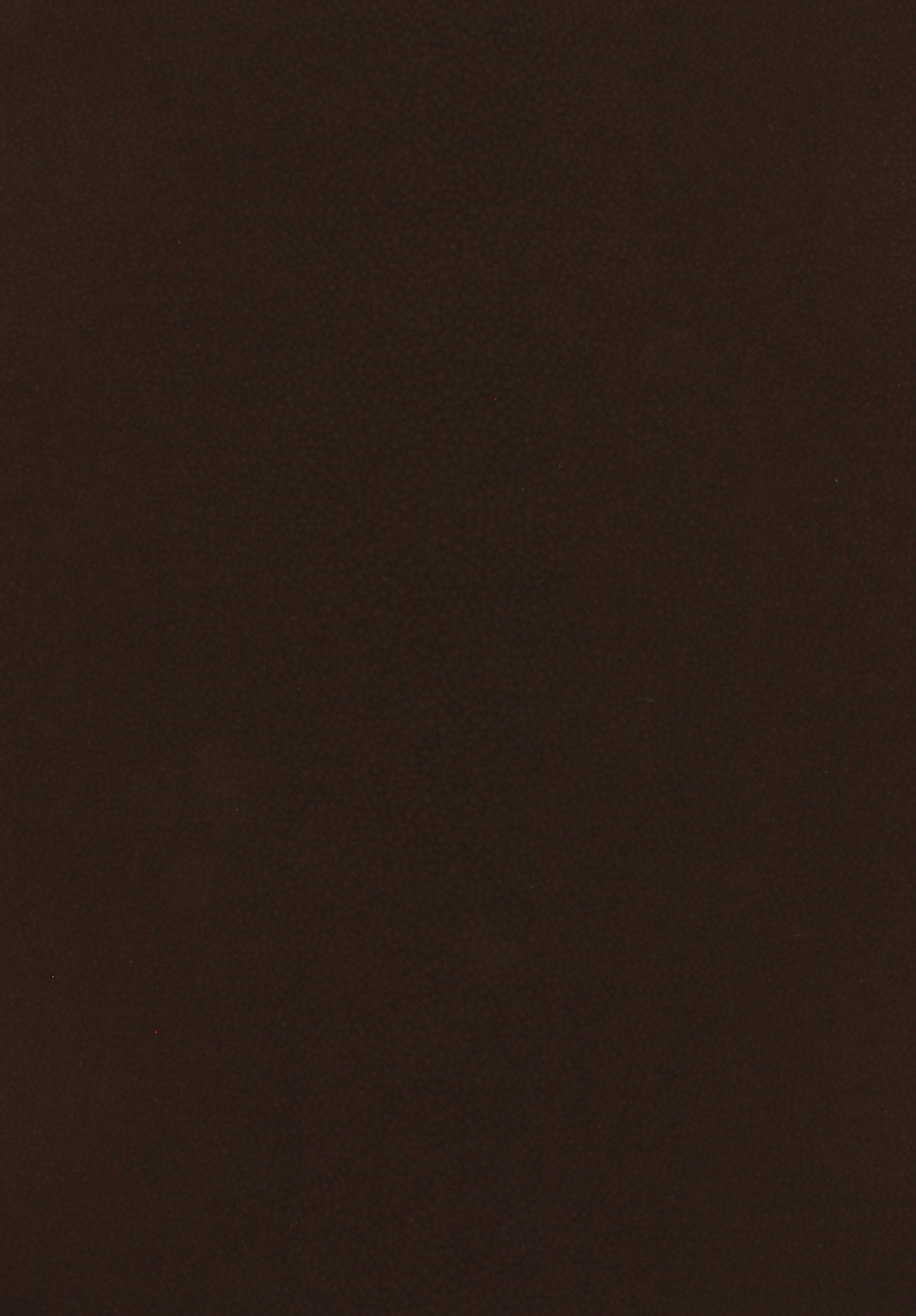 buck72dpi270chocolate