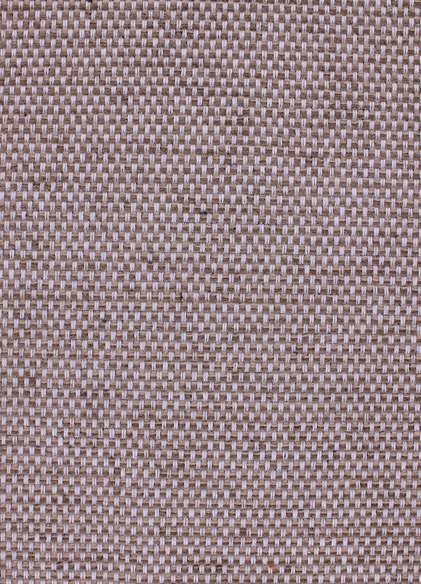 cesar72dpi225mocha
