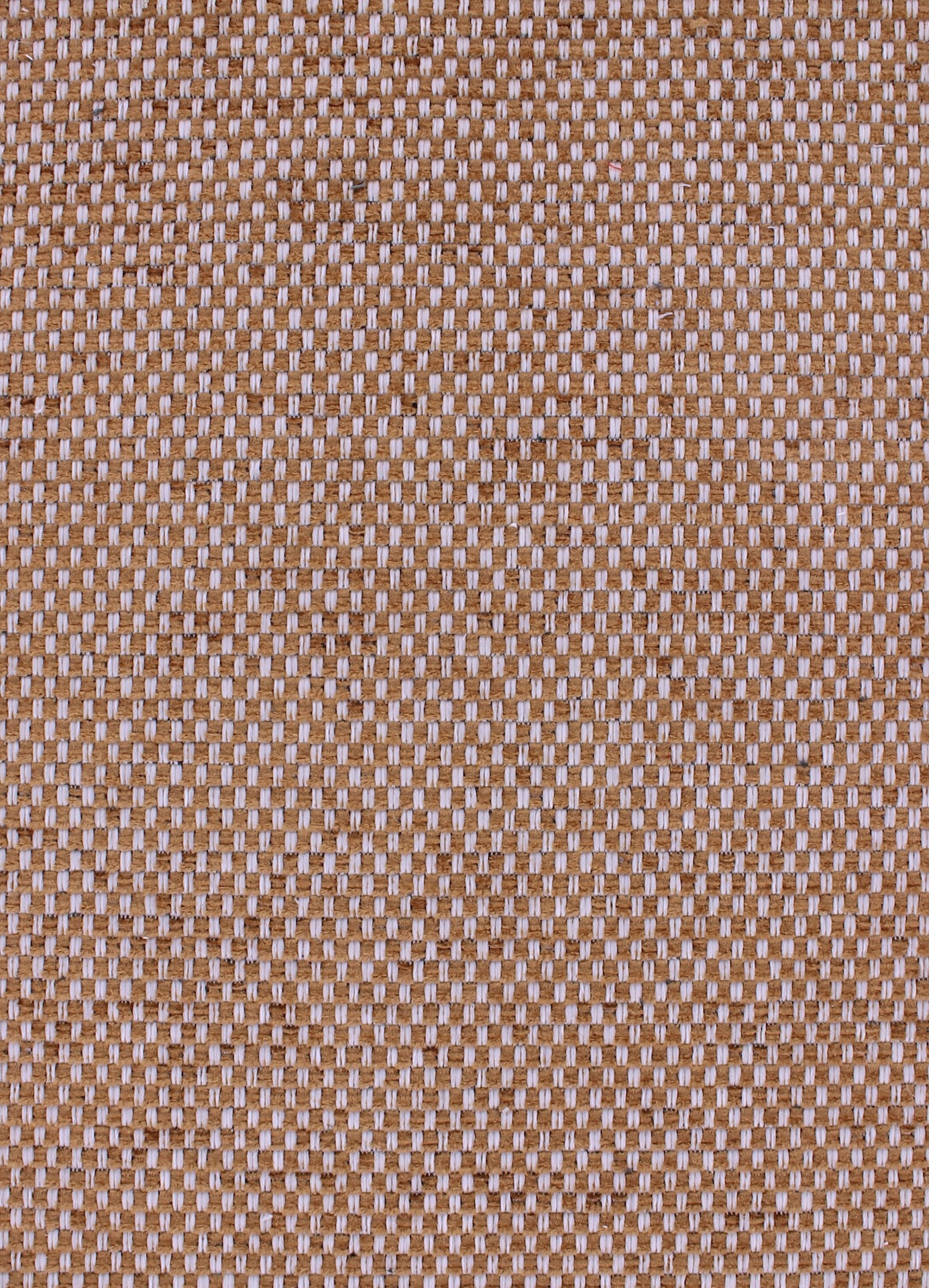 cesar72dpi266caramel