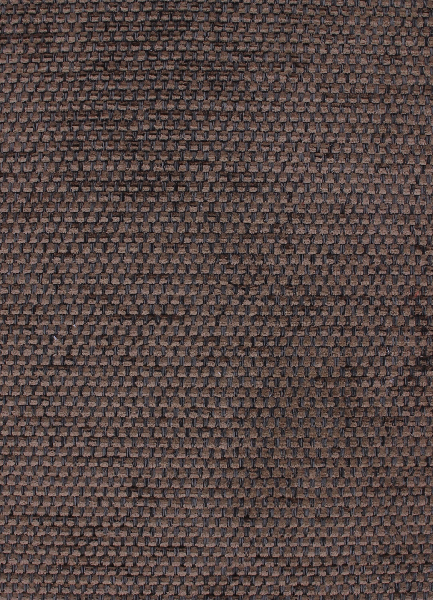 cesar72dpi270chocolate