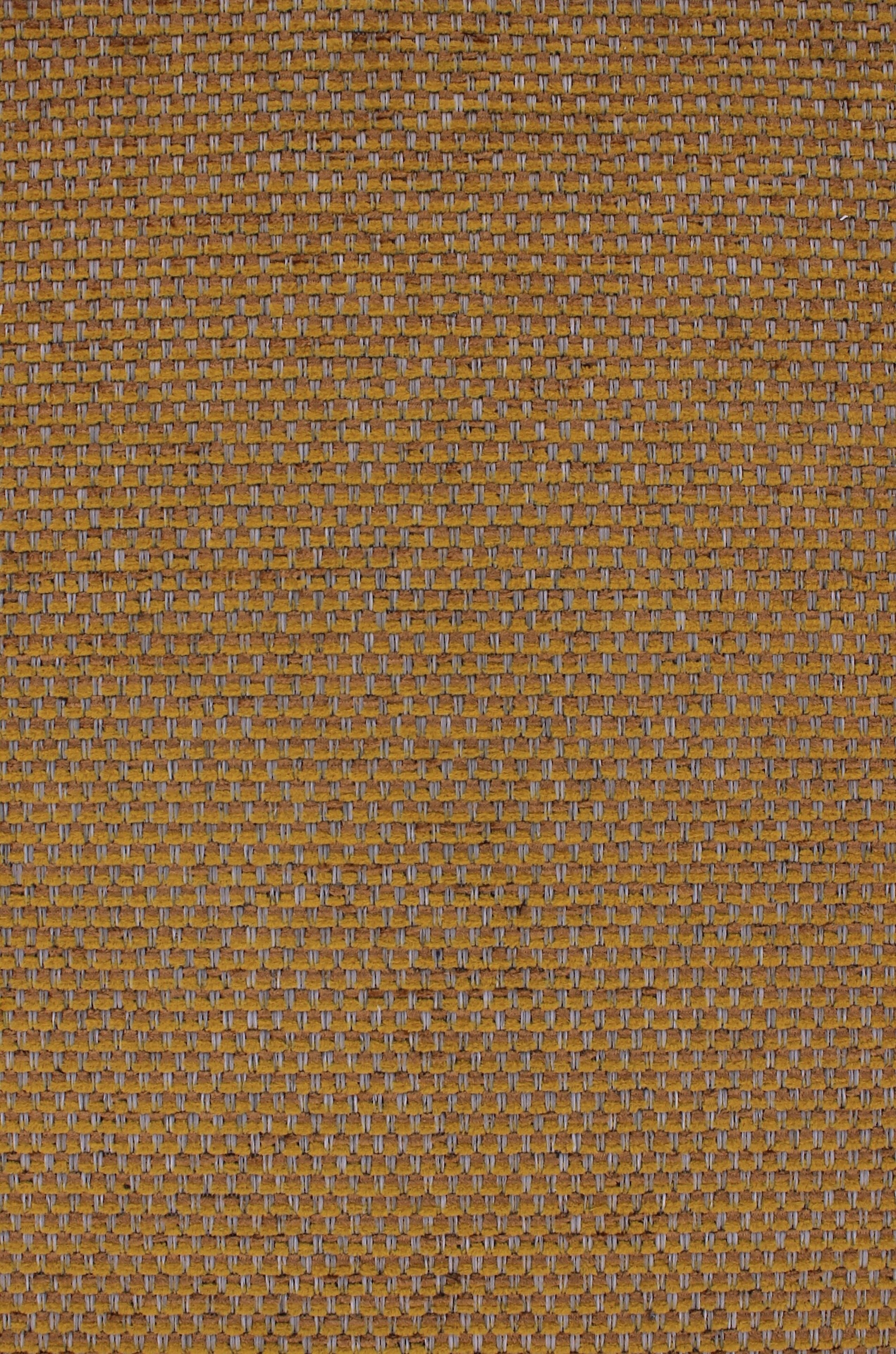 cesar72dpi360amber