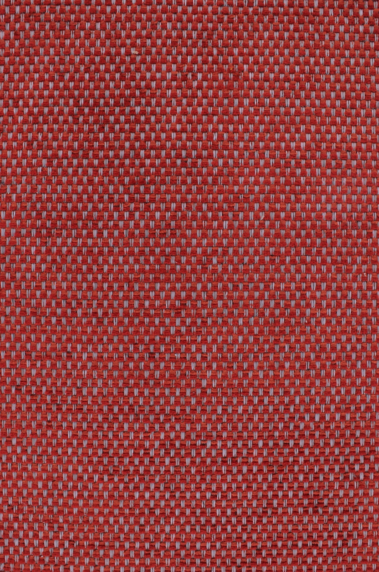 cesar72dpi410coral