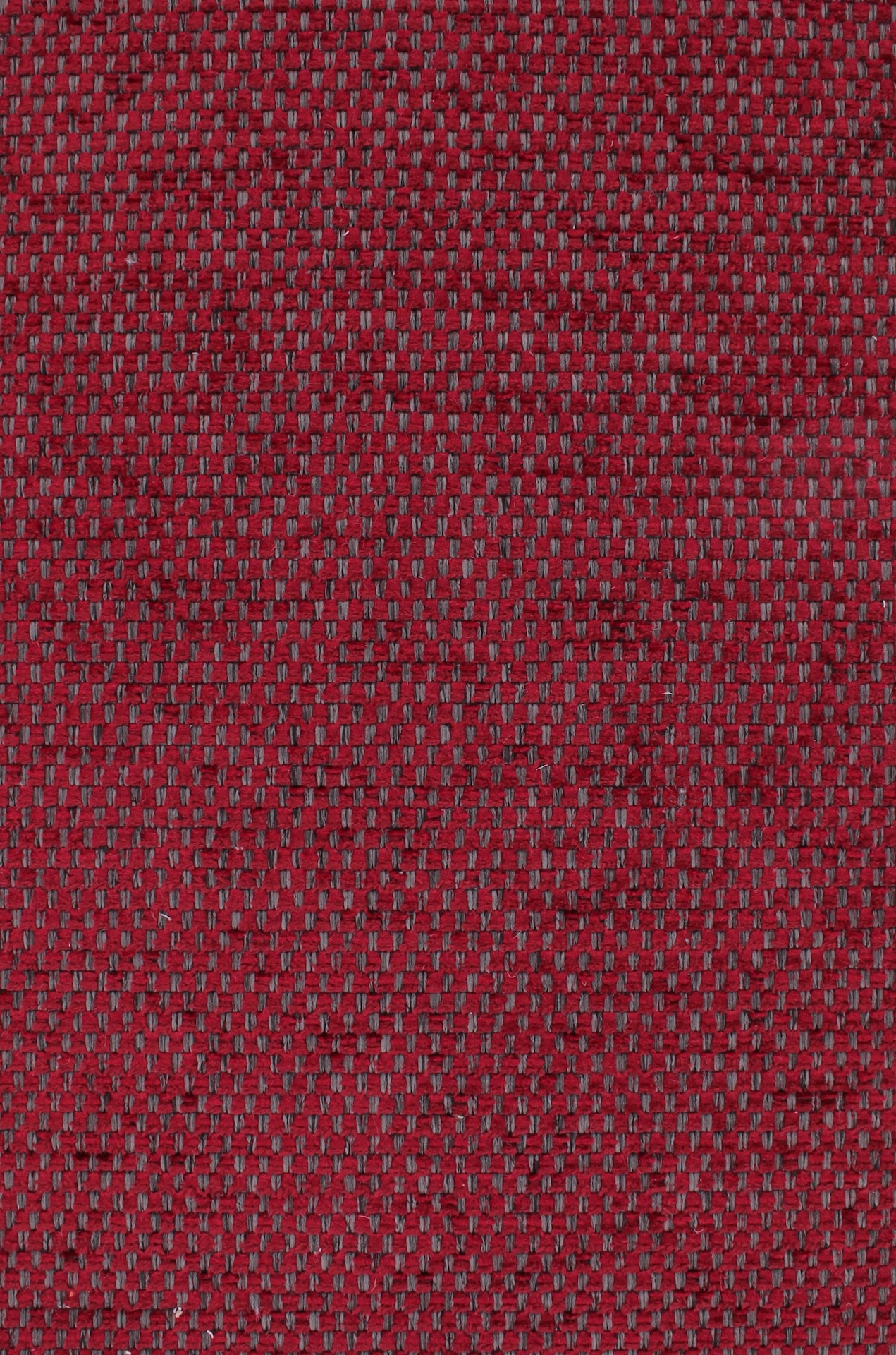 cesar72dpi450burgundy