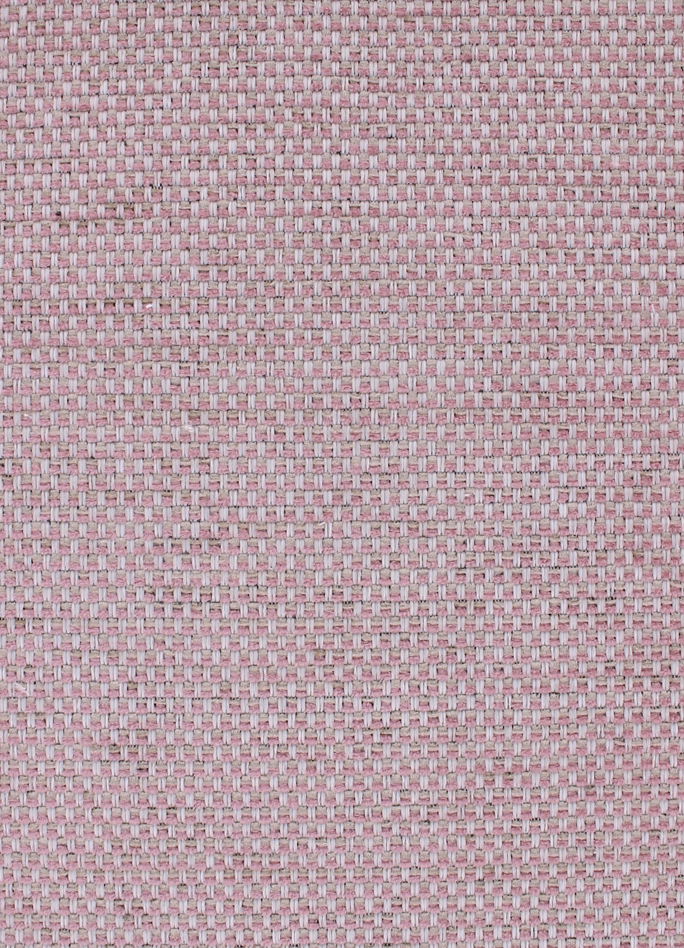 cesar72dpi500rosedust