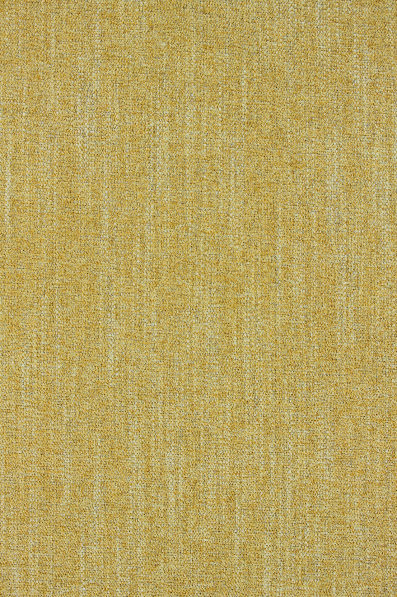daily72dpi320corn