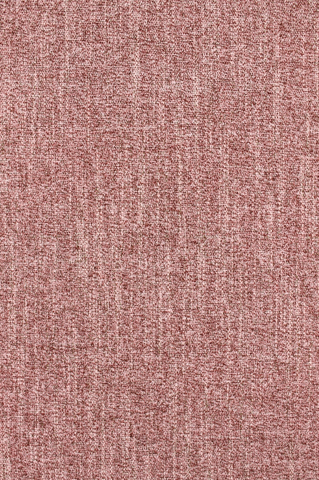 daily72dpi500rose-dust