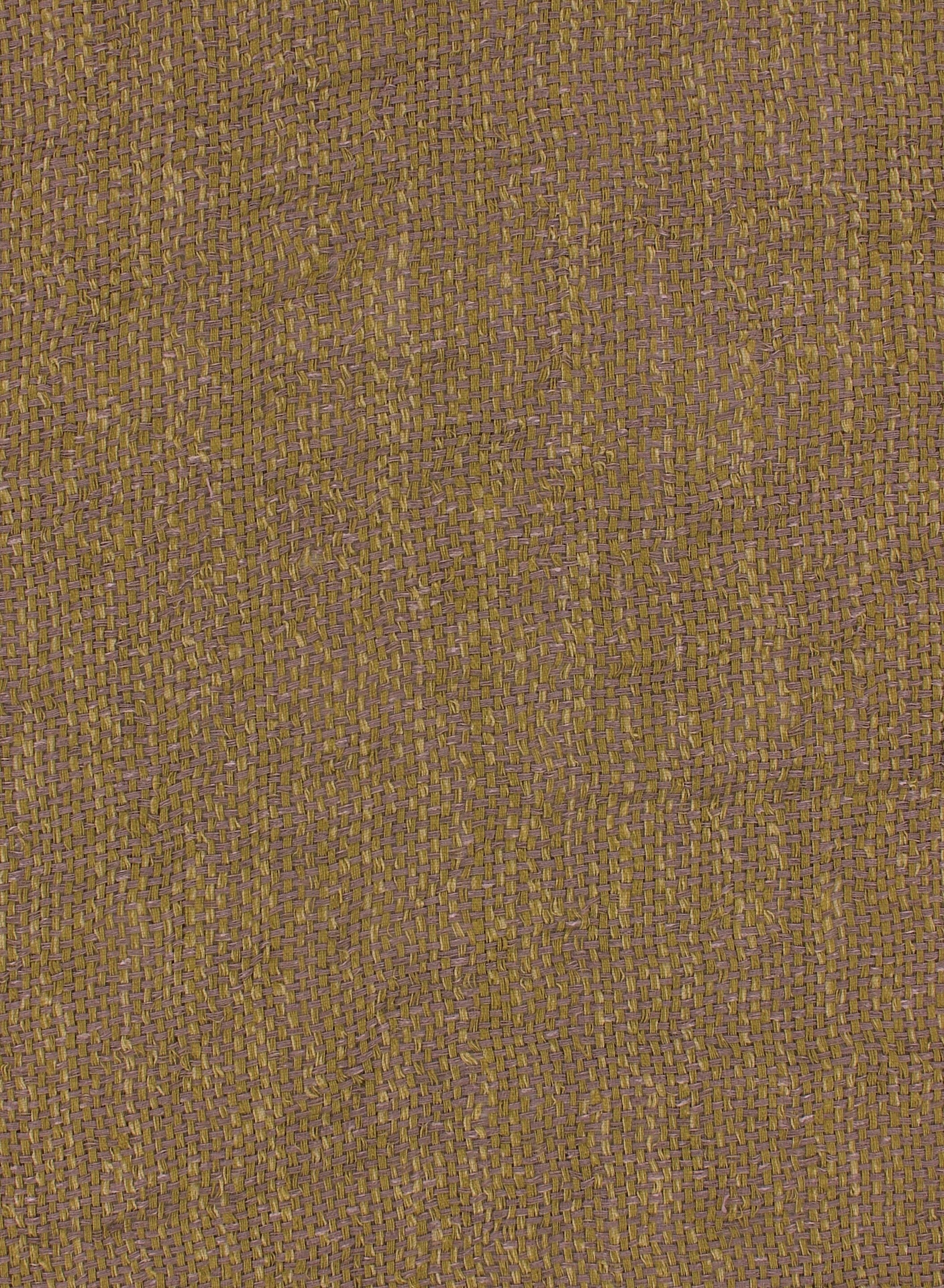 demi765olive72dpi