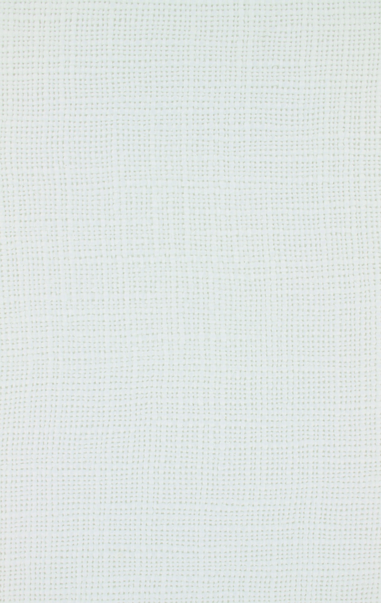 elise72dpi100white