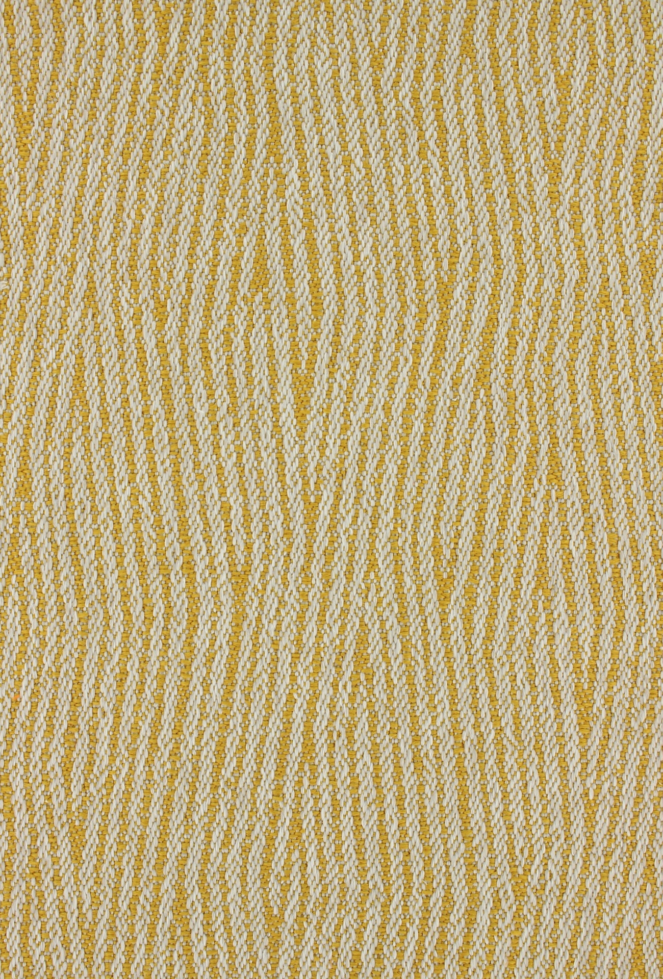 lepis72dpi340honey