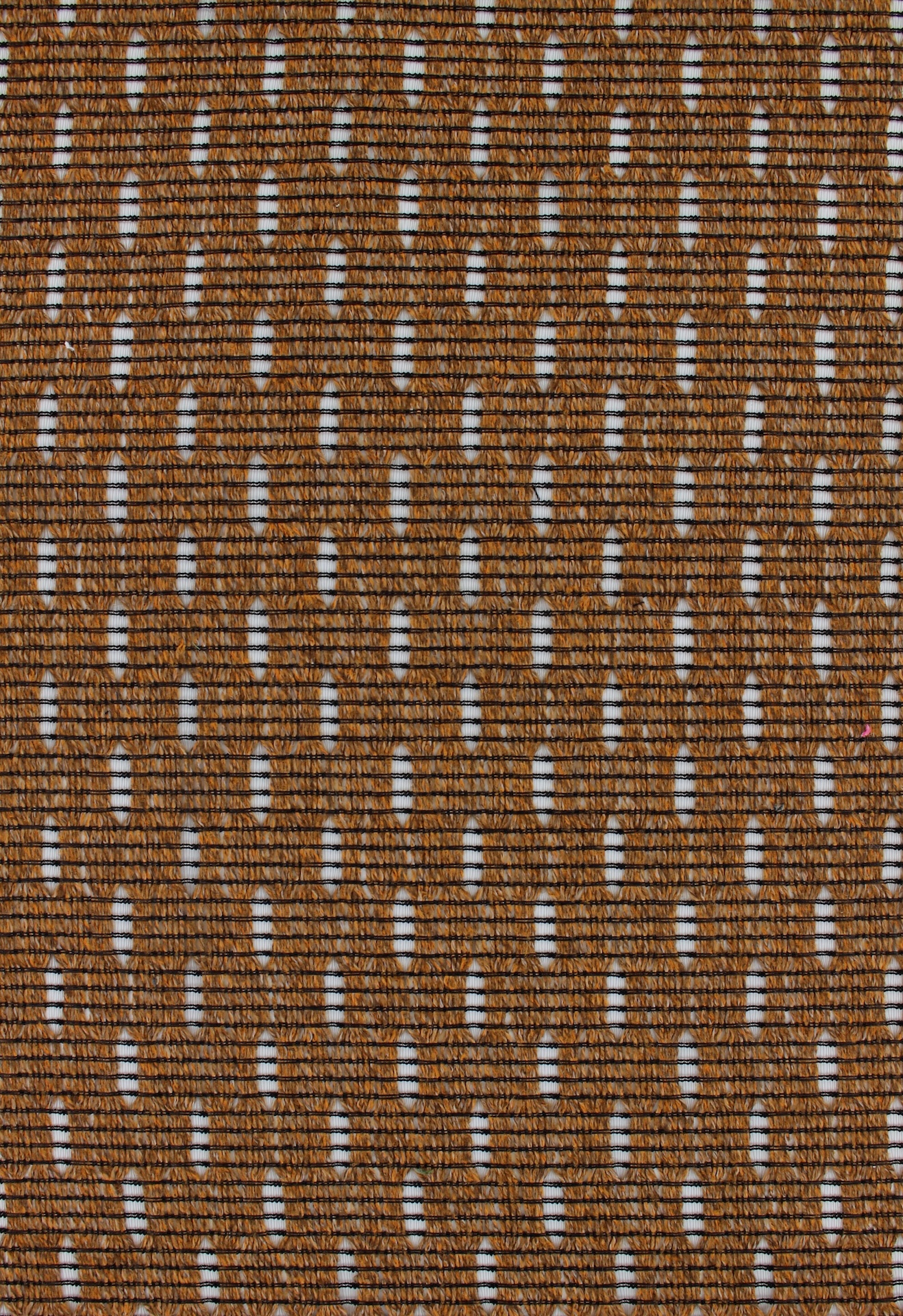 lili72dpi389copper