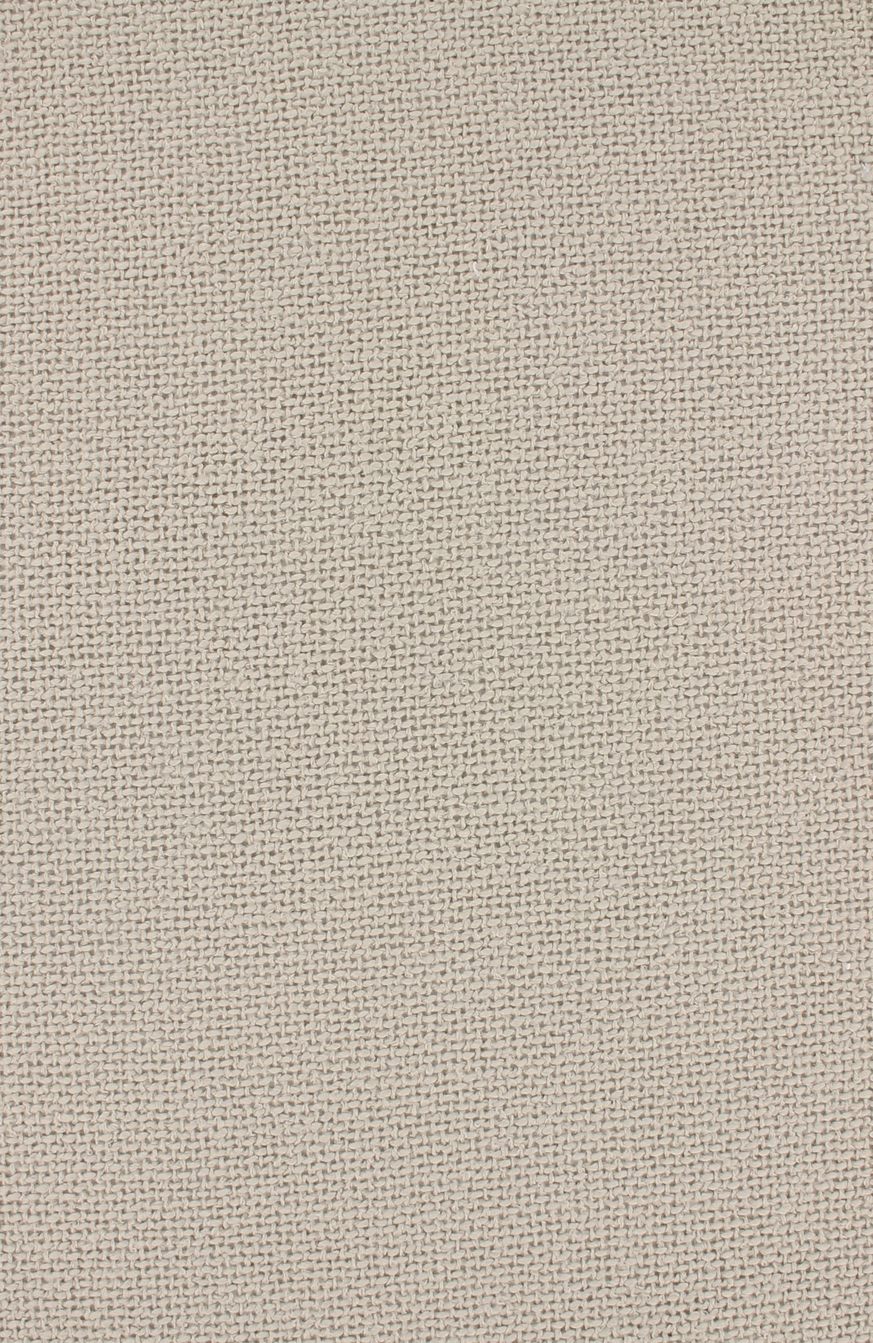 nala72dpi120silver