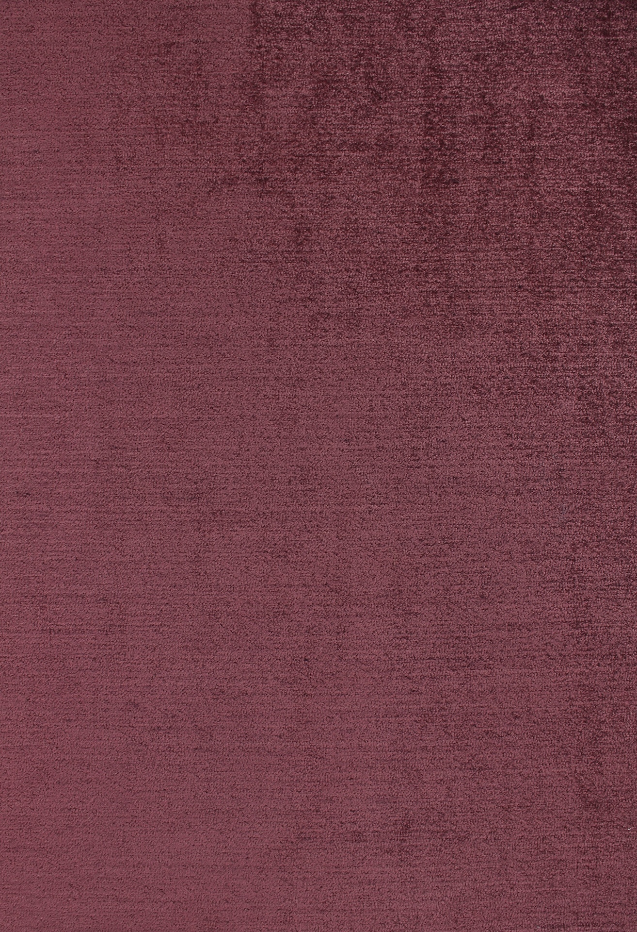 napoleon72dpi500rose-dust