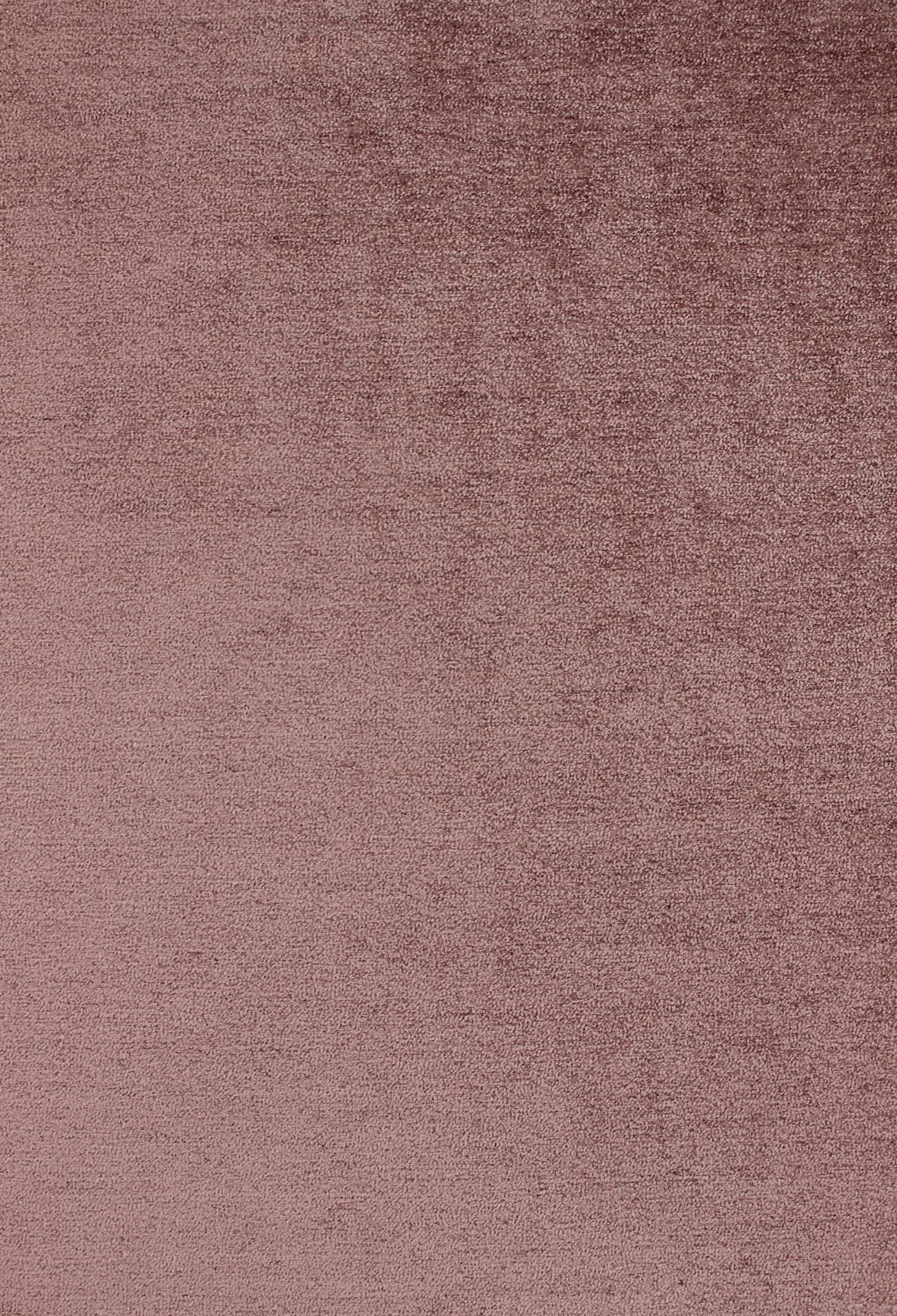 napoleon72dpi509old-rose