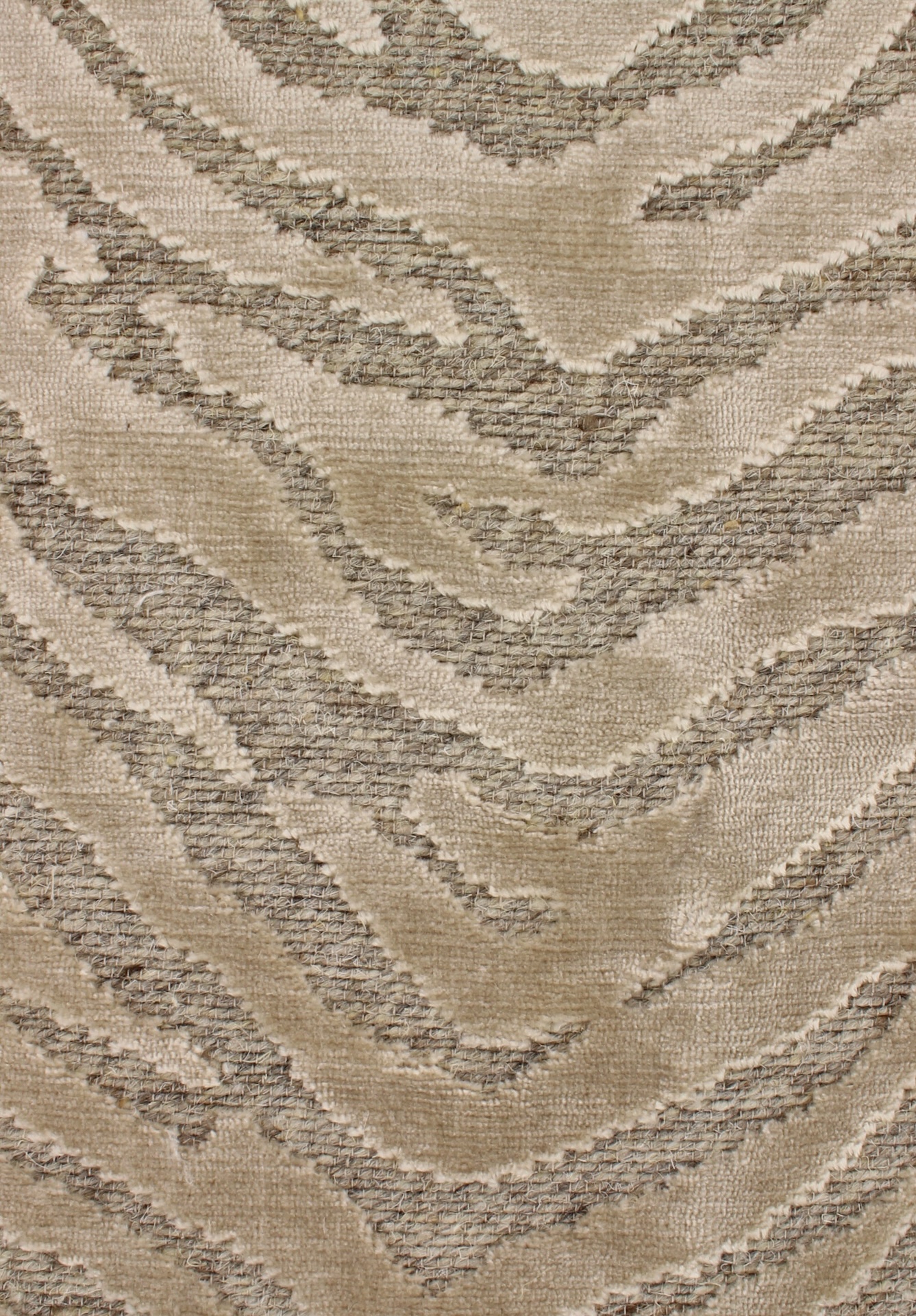 park72dpi215champagne