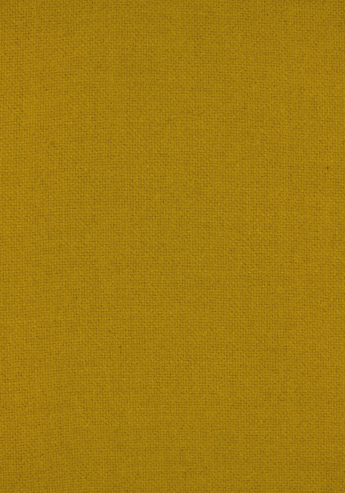 qashqai72dpi345mustard