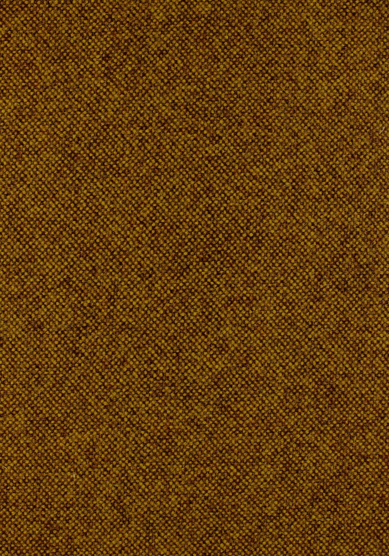 qashqai72dpi360amber