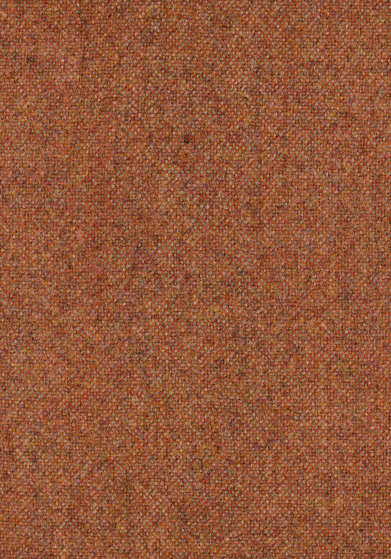 qashqai72dpi370pumpkin
